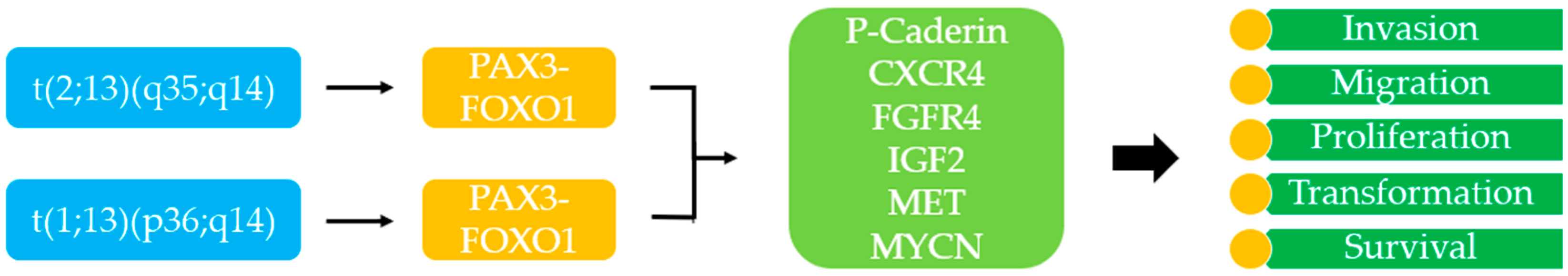 Ijms 24 02195 g002 Ijms 24 02195 g002