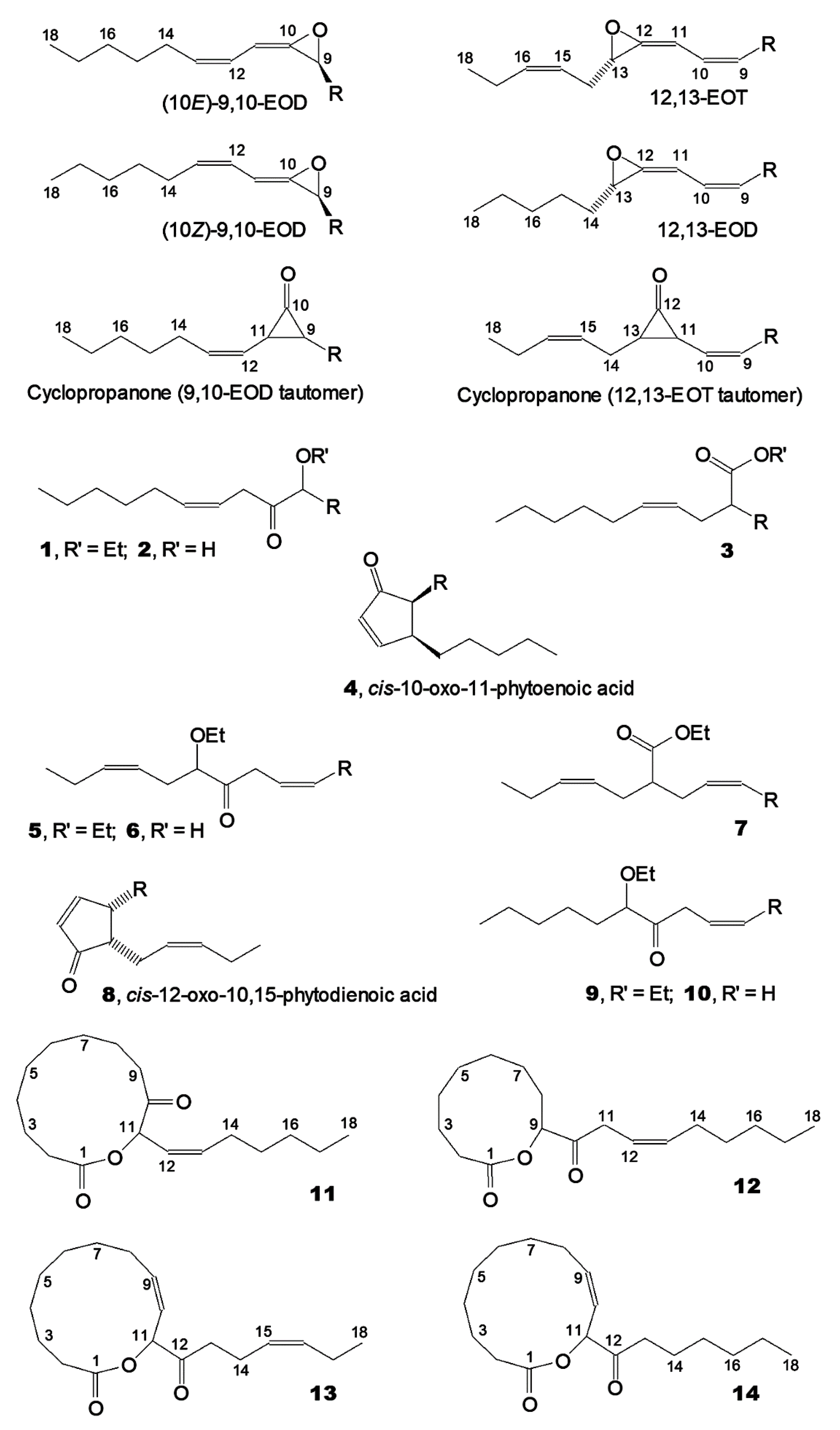 Ijms 24 02230 g001 Ijms 24 02230 g001
