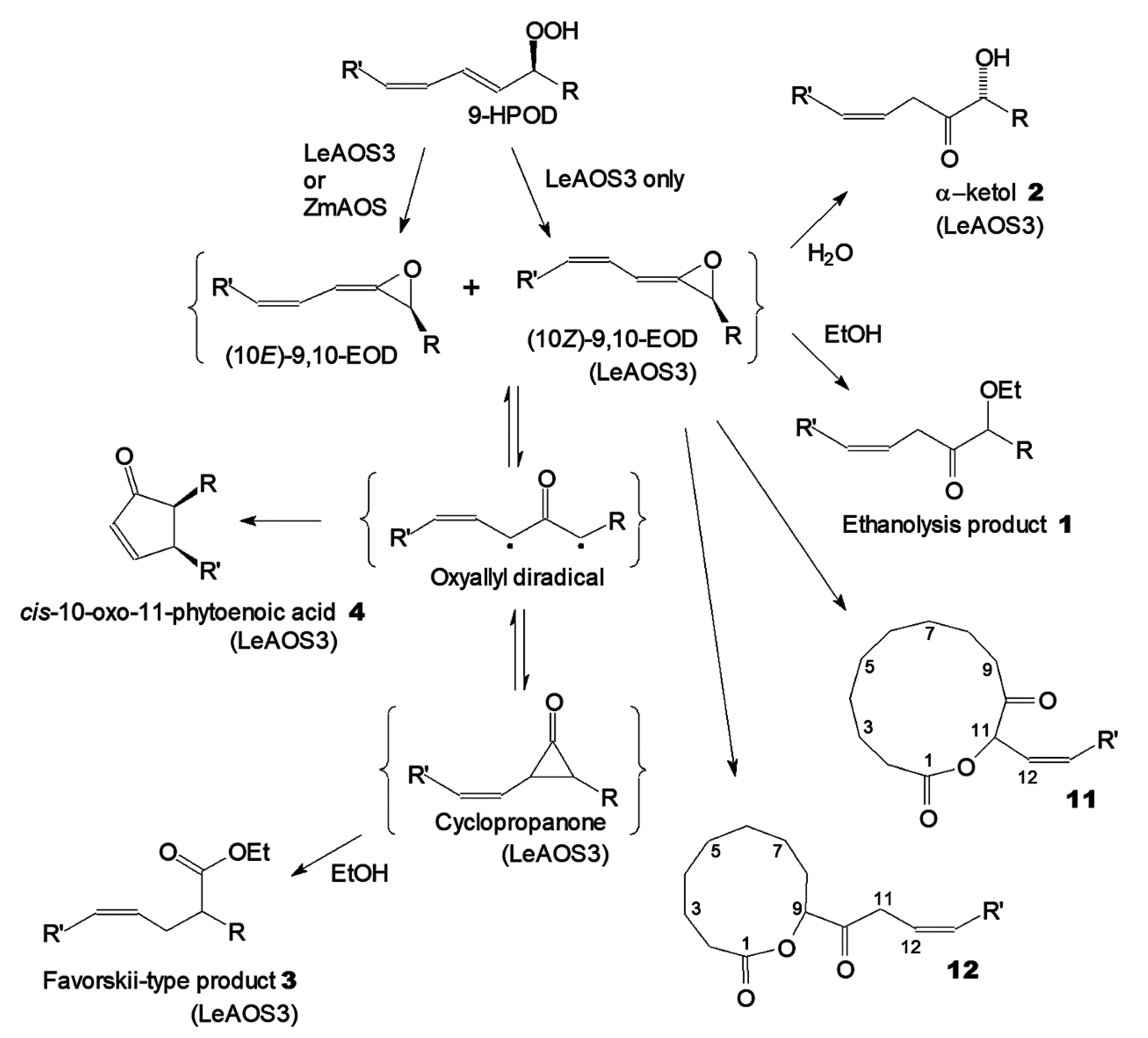 Ijms 24 02230 g007 Ijms 24 02230 g007