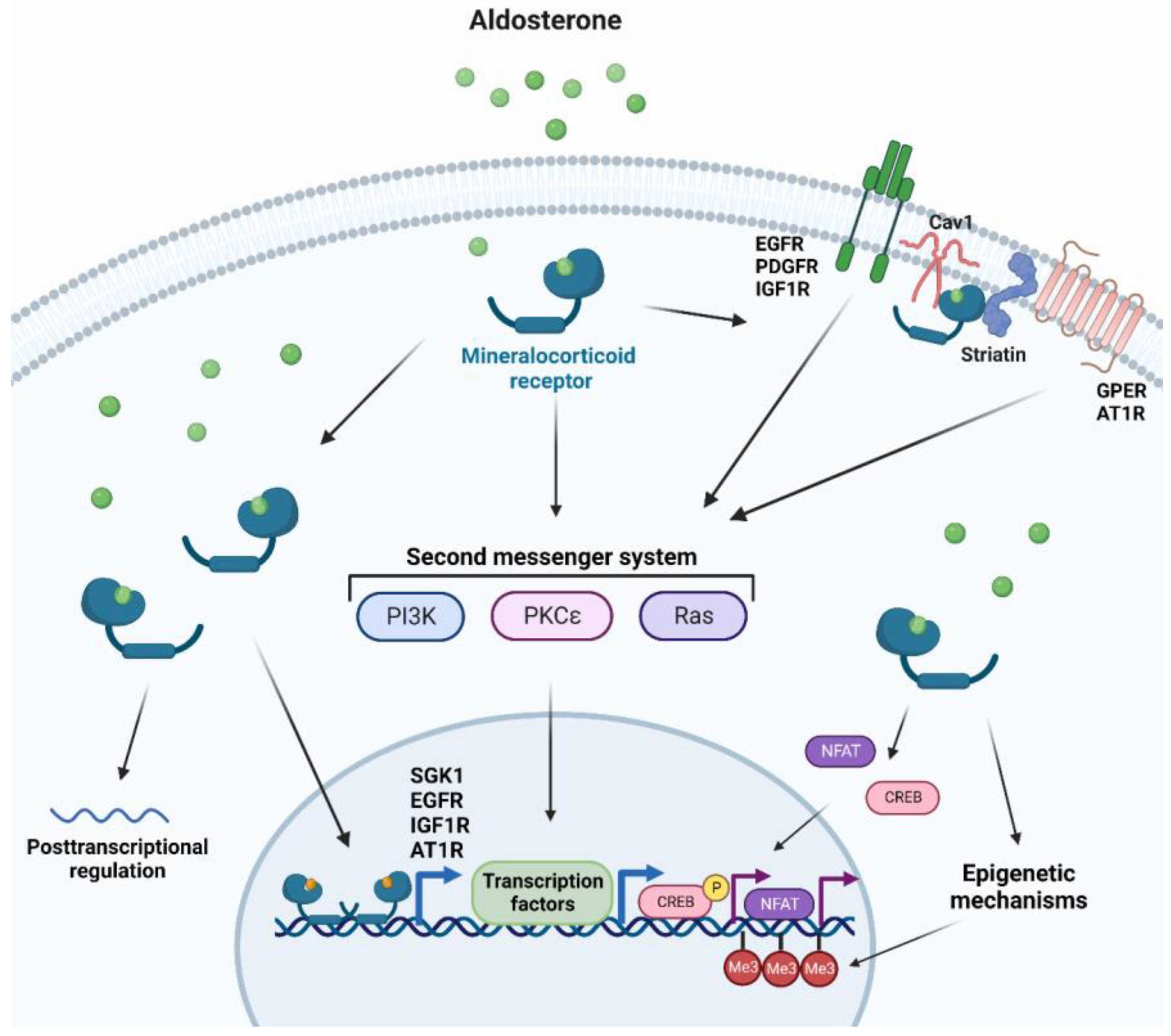 Ijms 24 02245 g001 Ijms 24 02245 g001