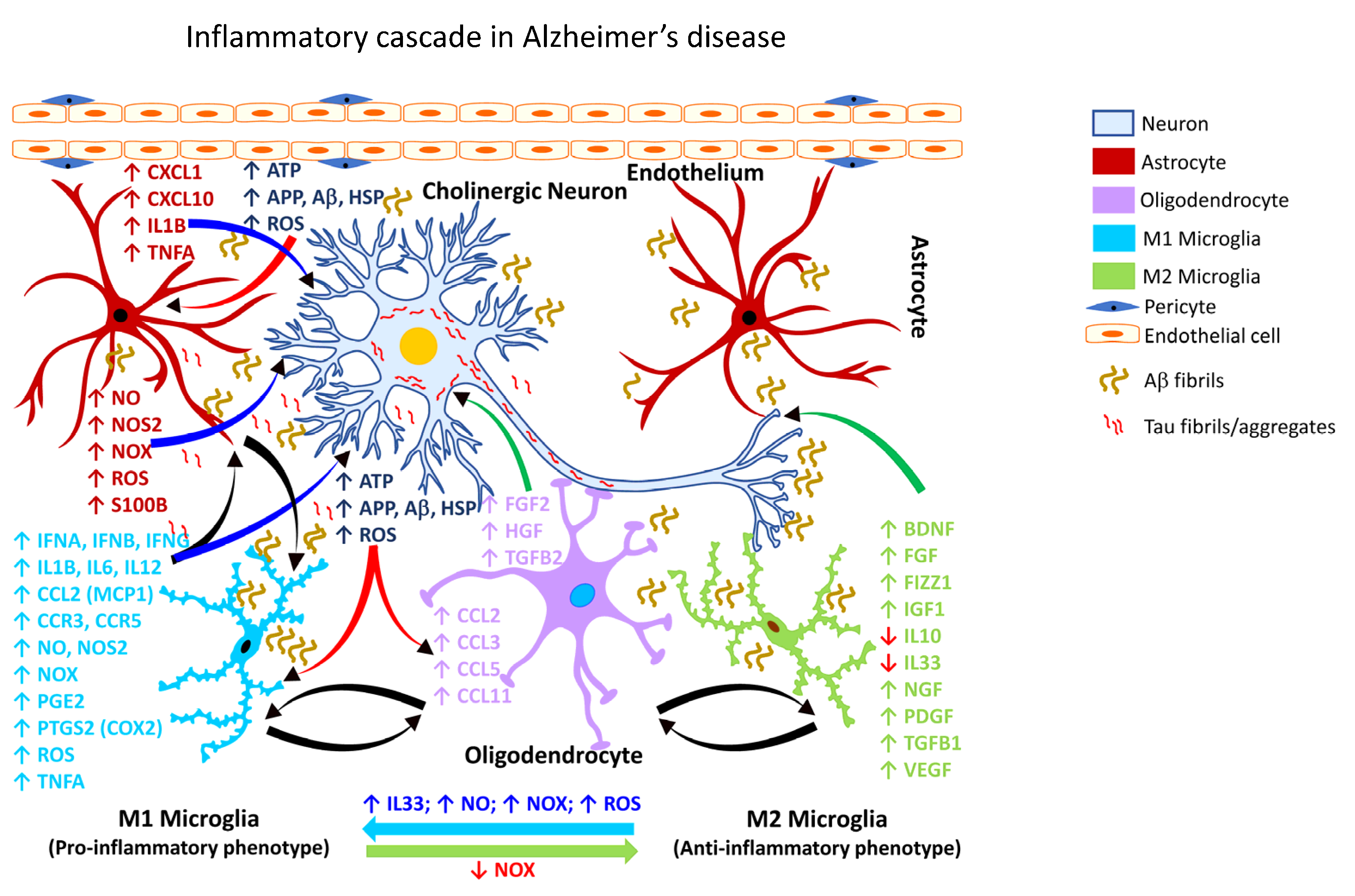 Ijms 24 02272 g002 Ijms 24 02272 g002