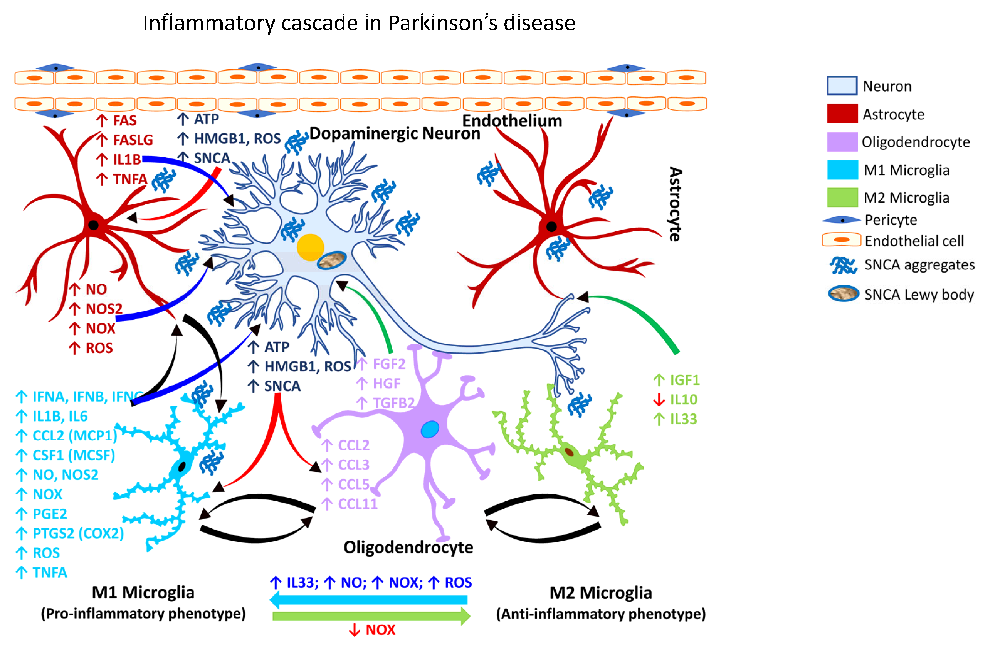 Ijms 24 02272 g003 Ijms 24 02272 g003