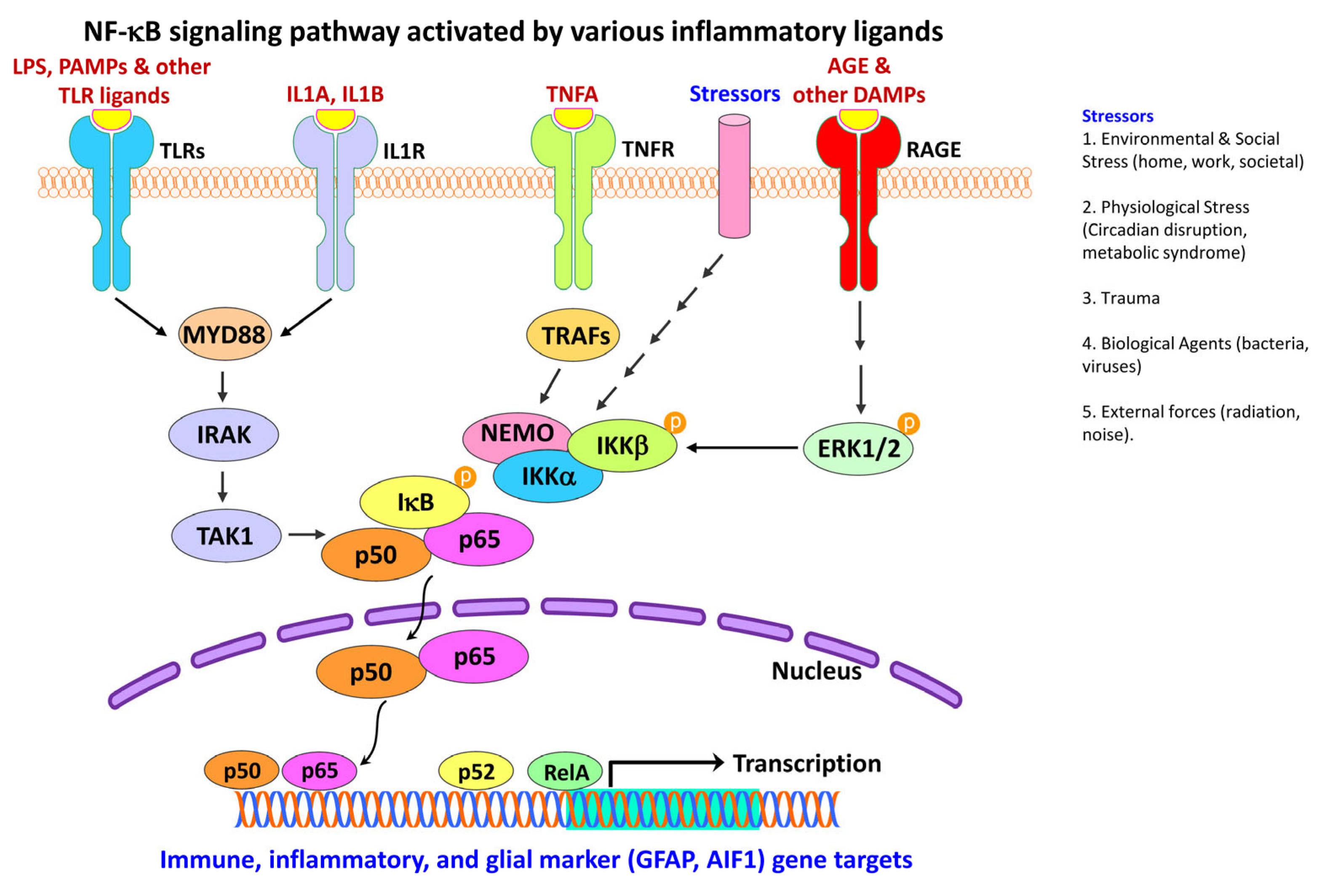 Ijms 24 02272 g006 Ijms 24 02272 g006