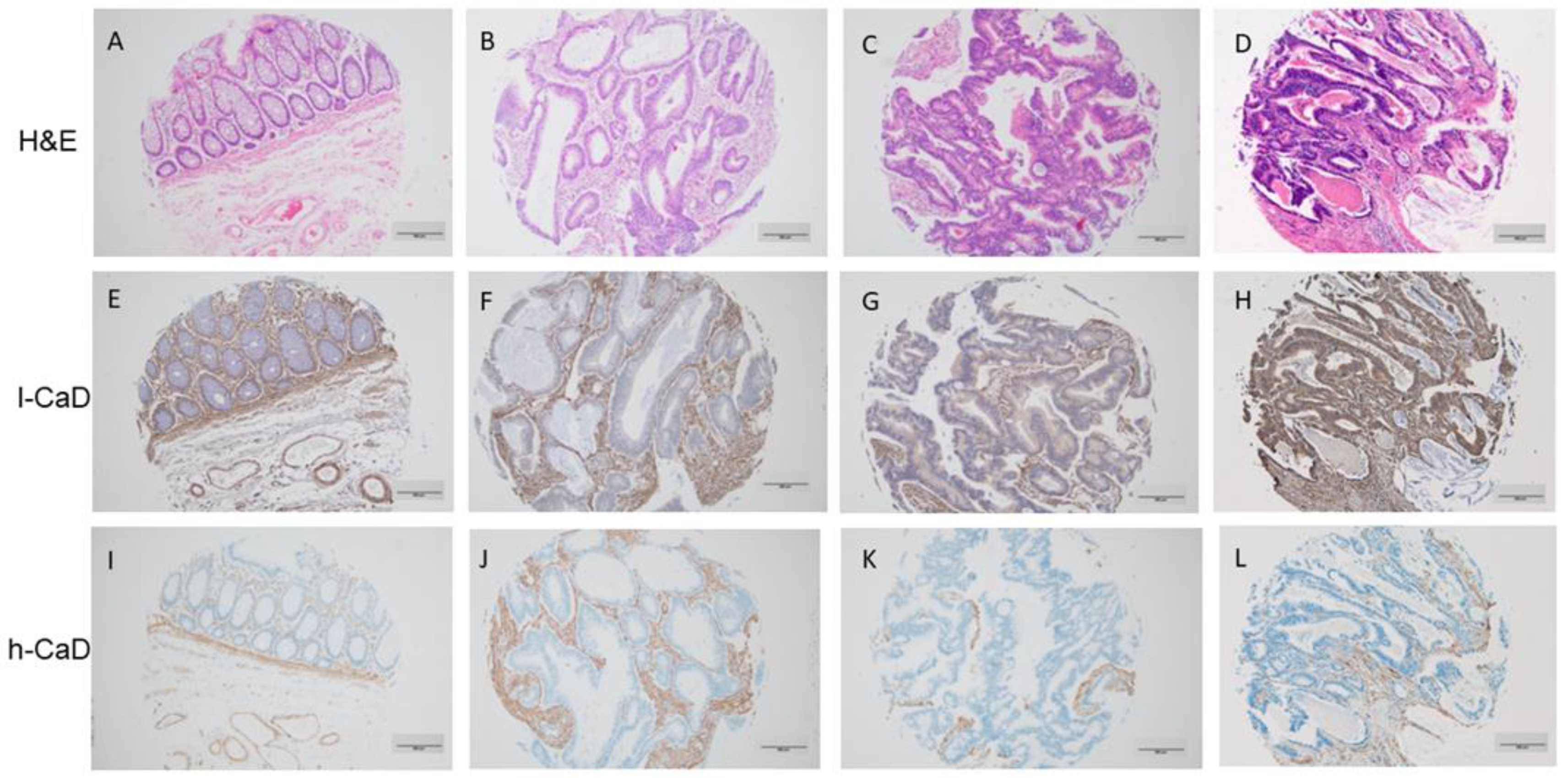 Ijms 24 02275 g001 Ijms 24 02275 g001