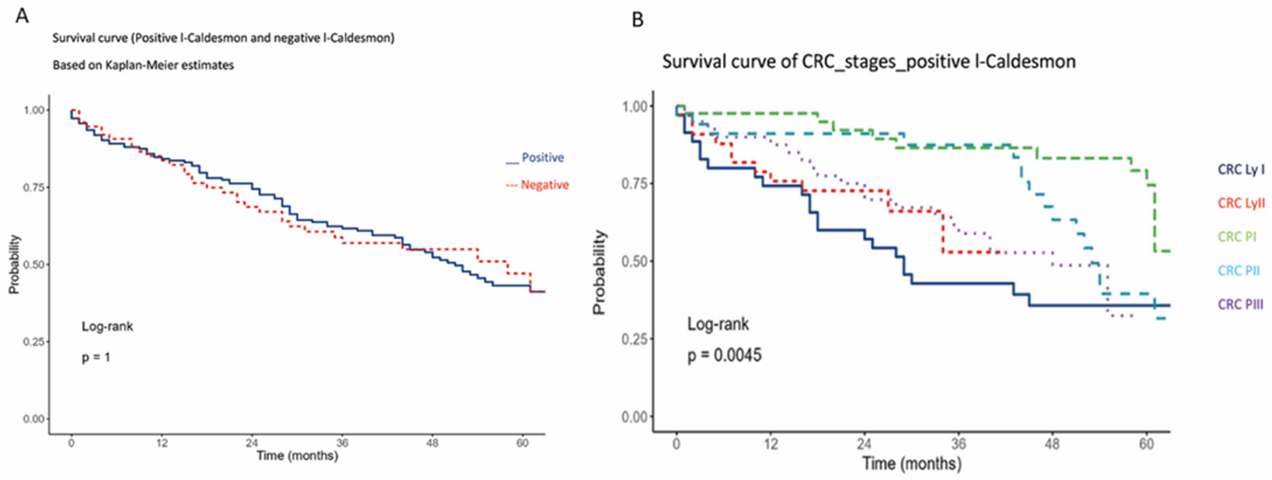 Ijms 24 02275 g003 Ijms 24 02275 g003