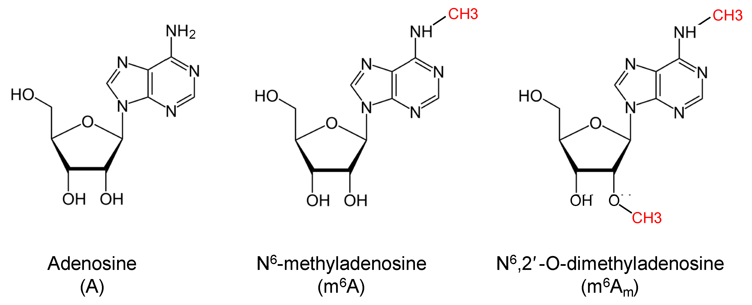 Ijms 24 02277 g001 Ijms 24 02277 g001