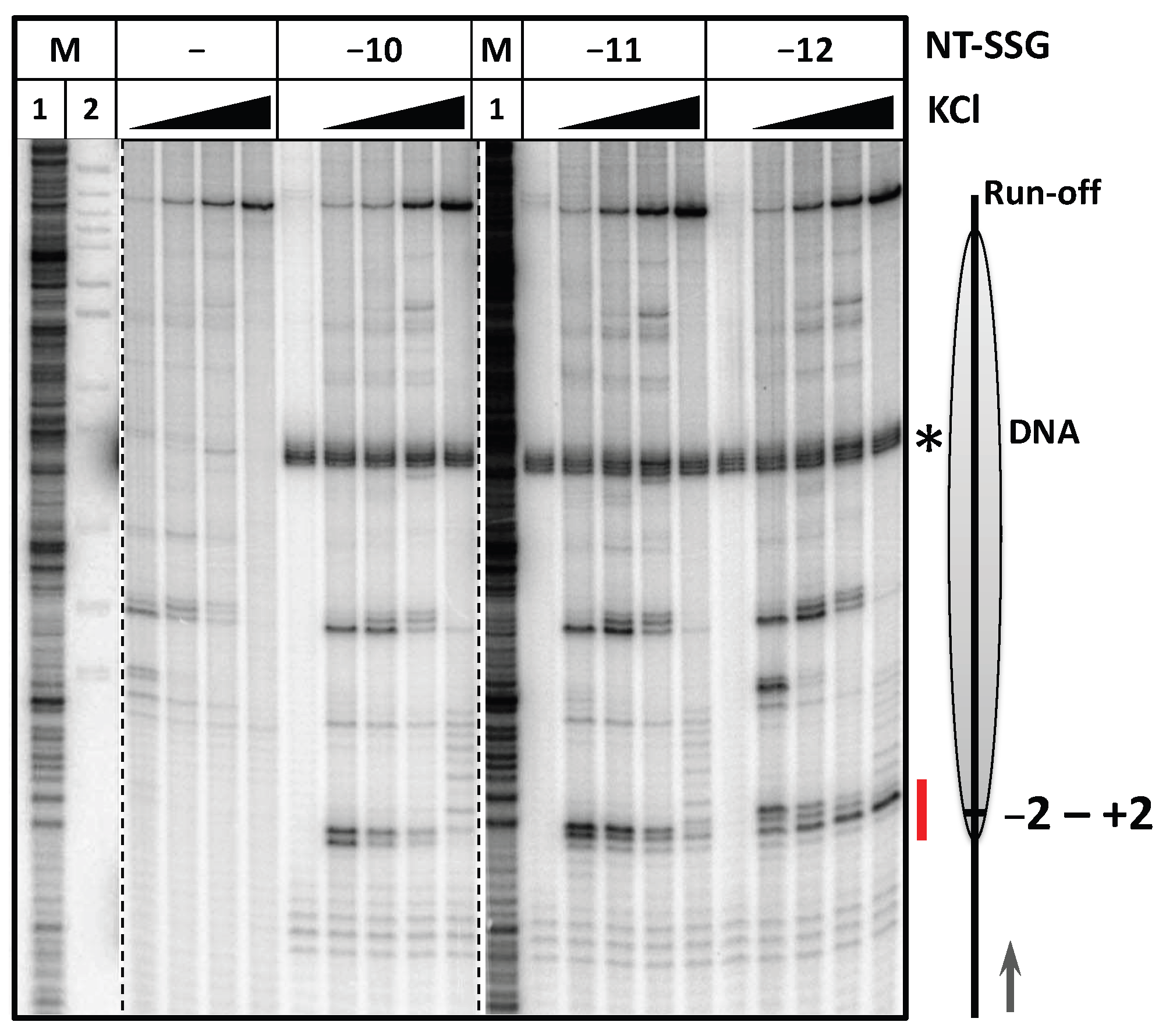 Ijms 24 02295 g003