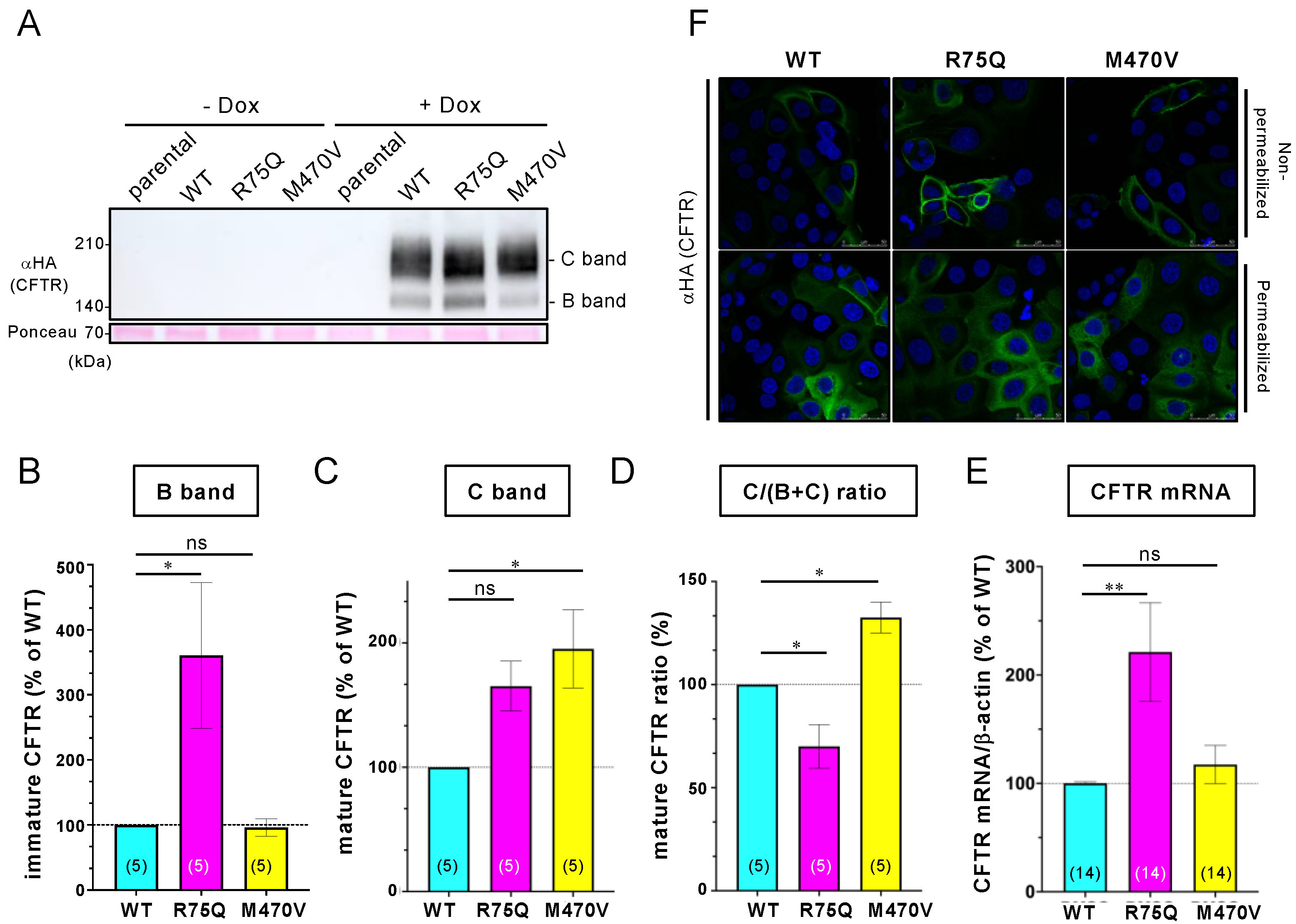 Ijms 24 02305 g001 Ijms 24 02305 g001