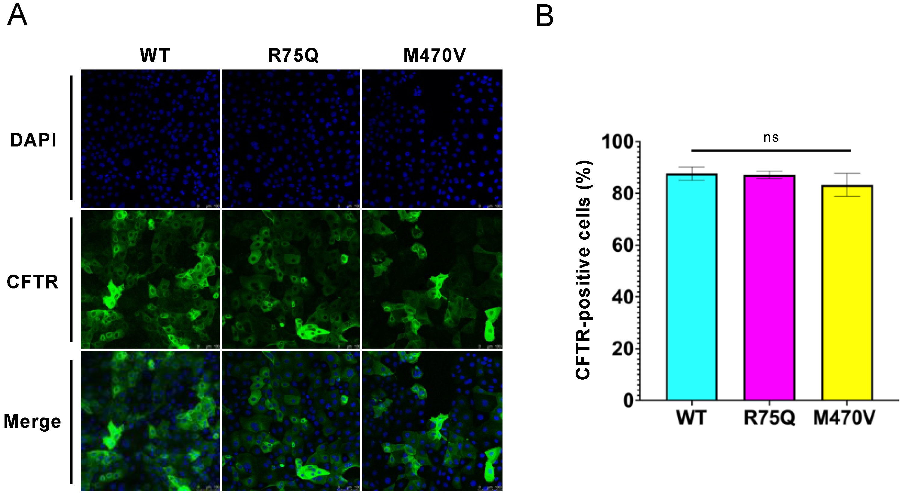 Ijms 24 02305 g002 Ijms 24 02305 g002