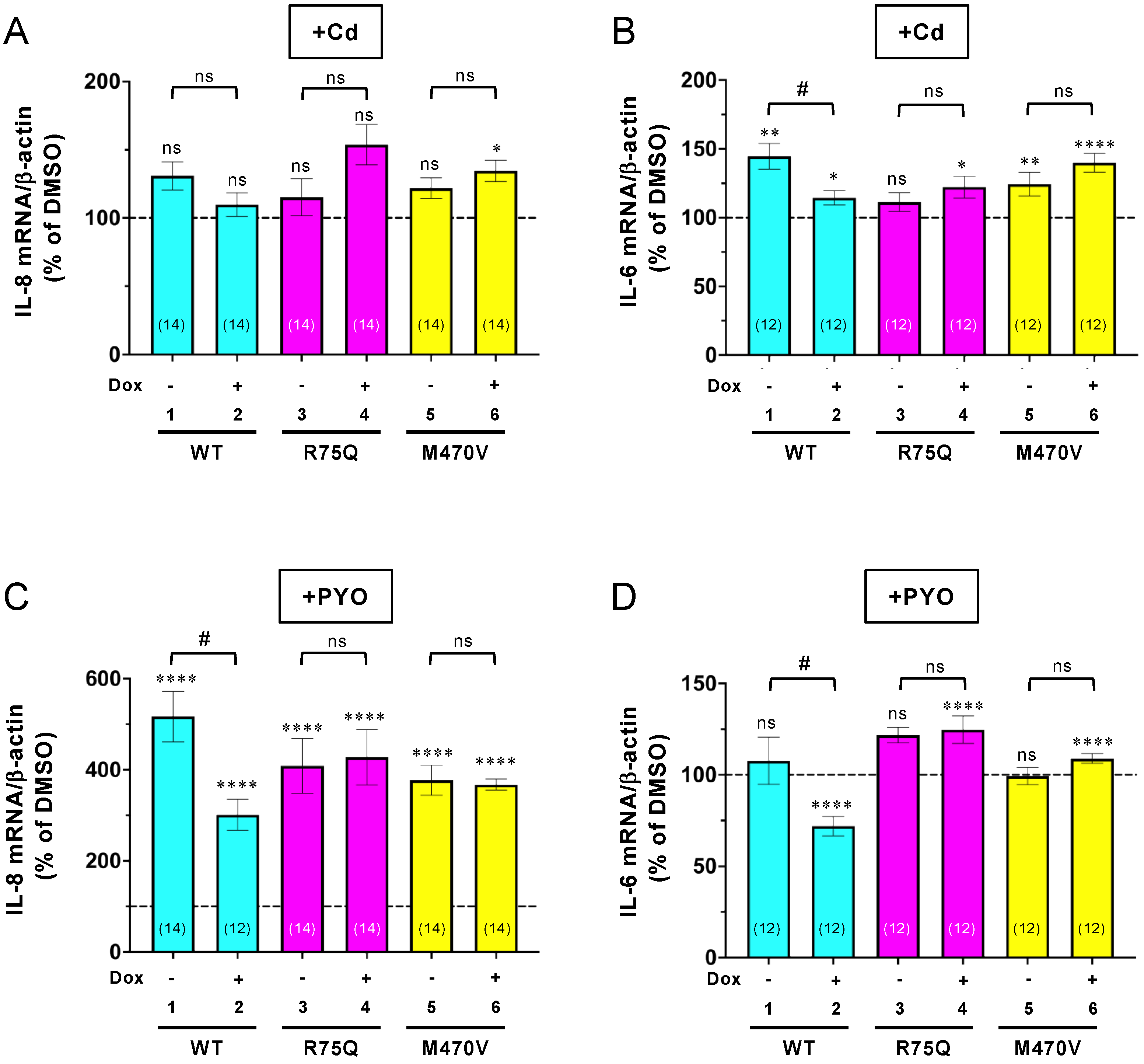 Ijms 24 02305 g003 Ijms 24 02305 g003