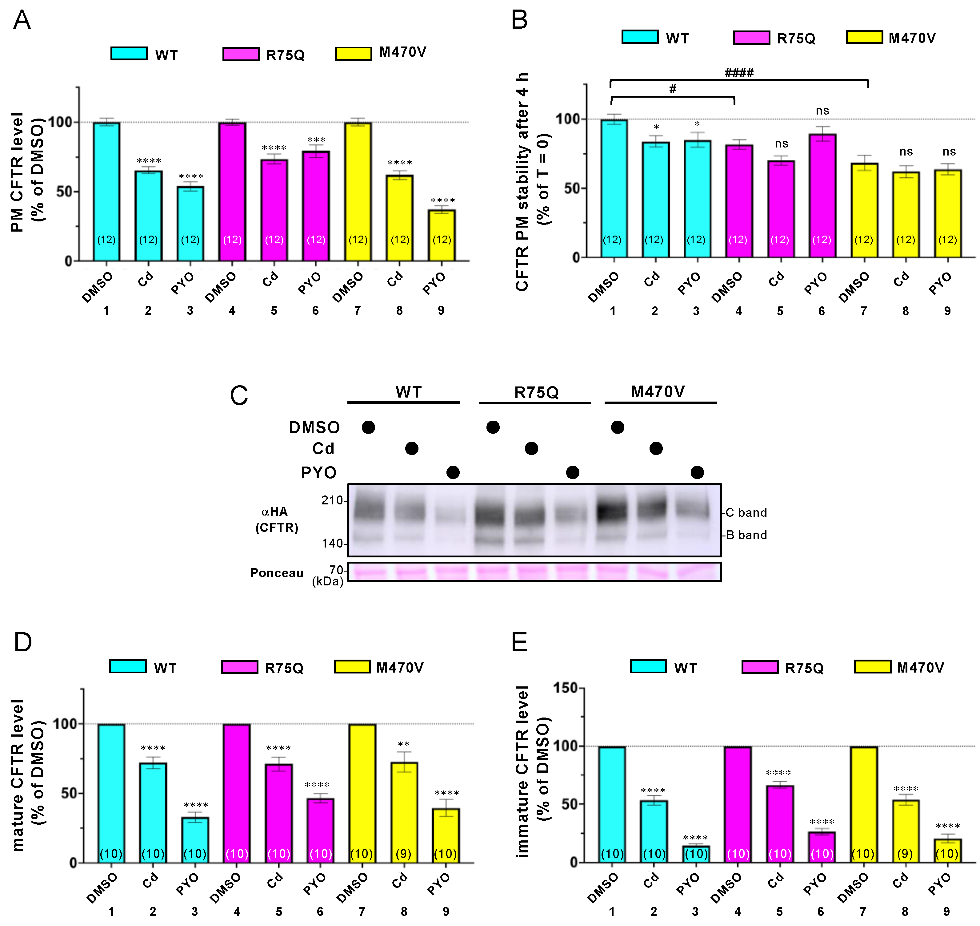Ijms 24 02305 g005 Ijms 24 02305 g005