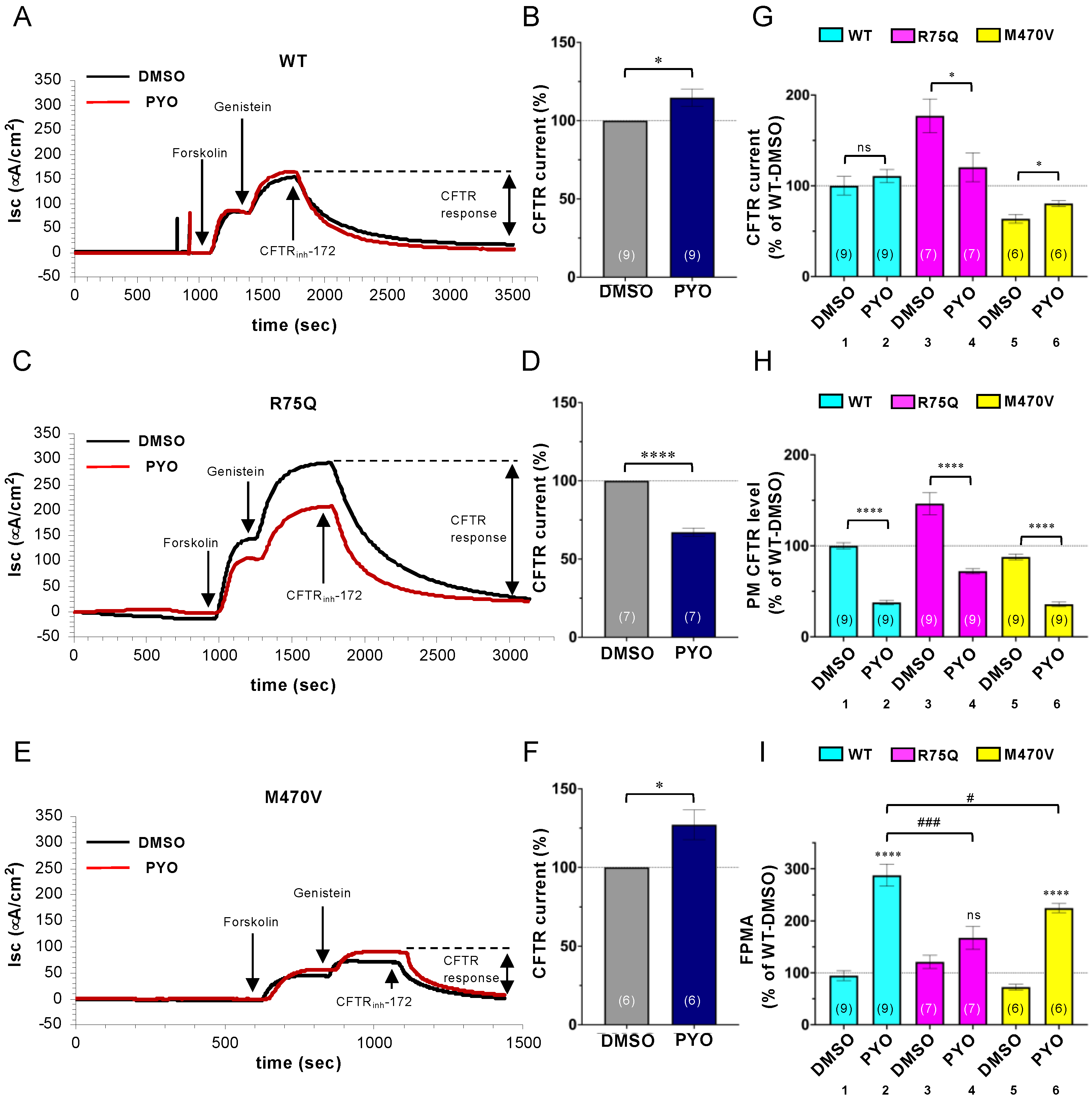Ijms 24 02305 g006 Ijms 24 02305 g006