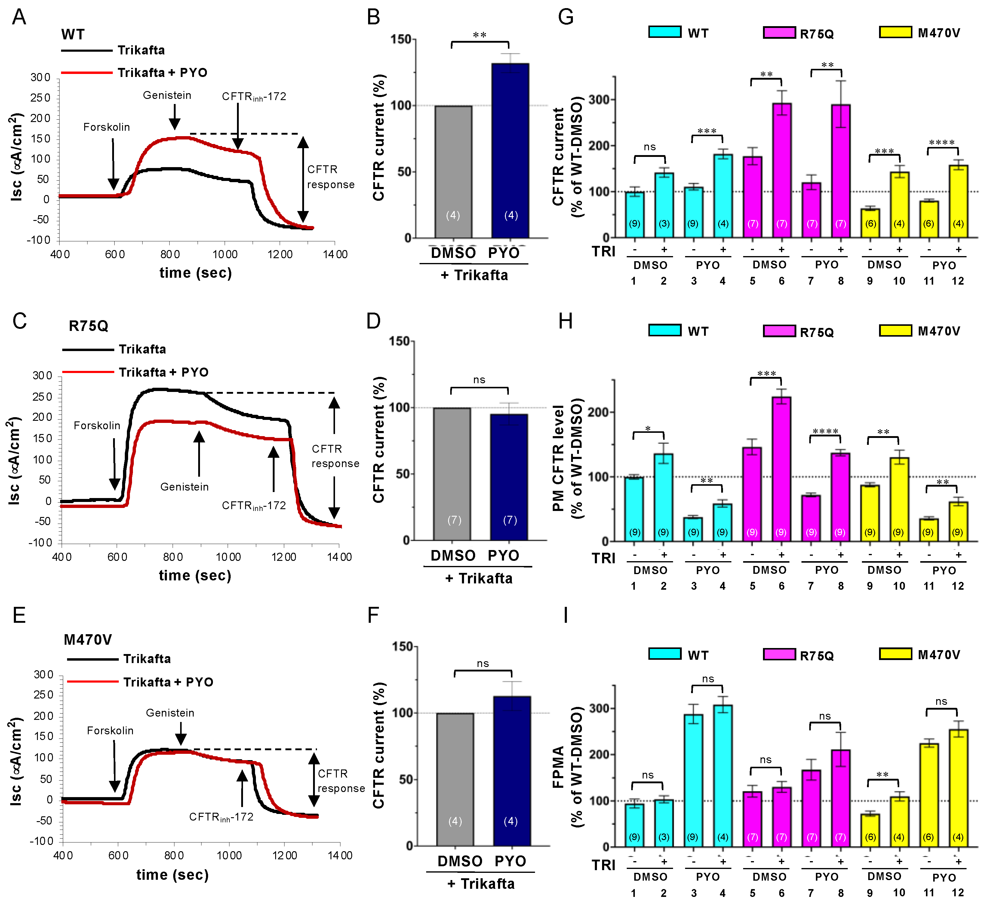 Ijms 24 02305 g007 Ijms 24 02305 g007