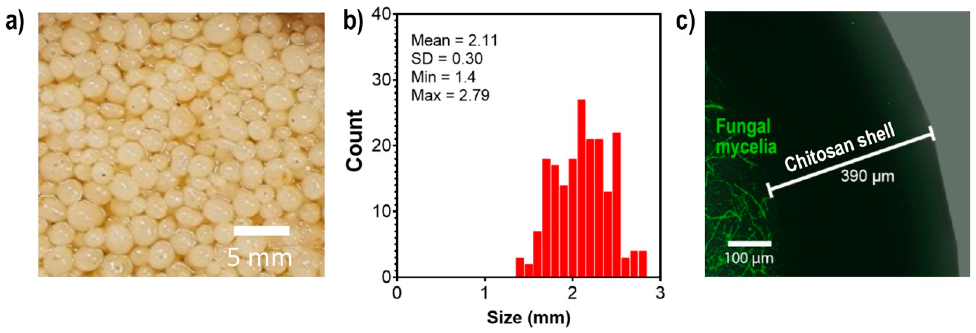 Ijms 24 02318 g002 Ijms 24 02318 g002