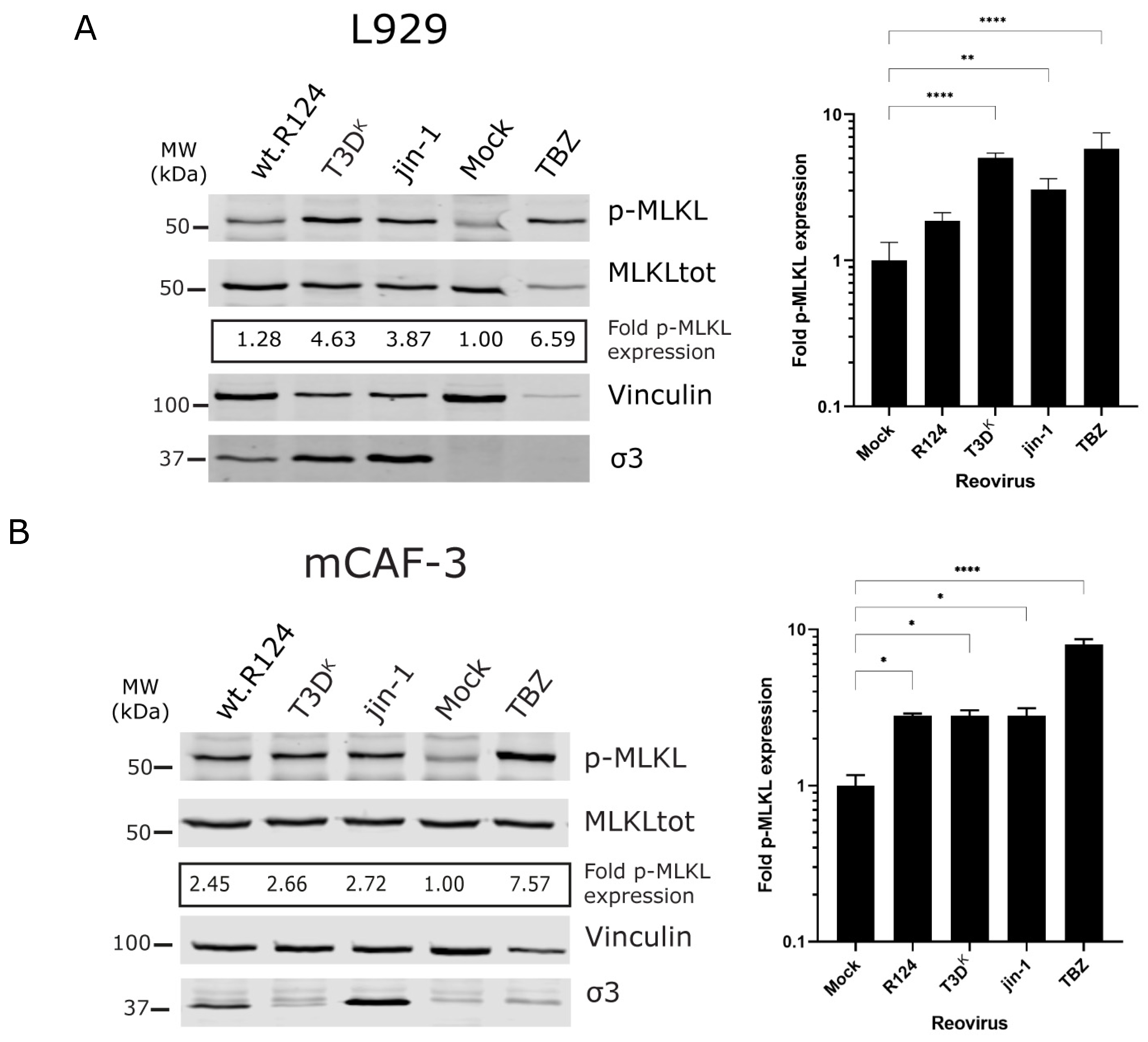 Ijms 24 02320 g002a Ijms 24 02320 g002a