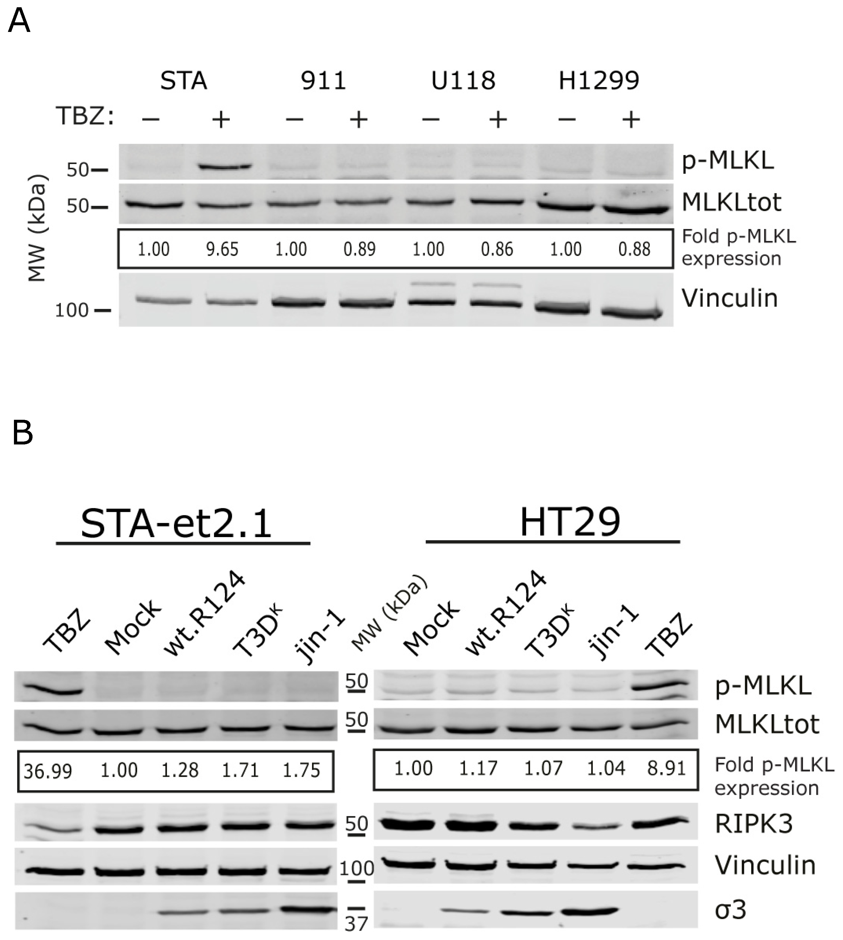 Ijms 24 02320 g003a Ijms 24 02320 g003a