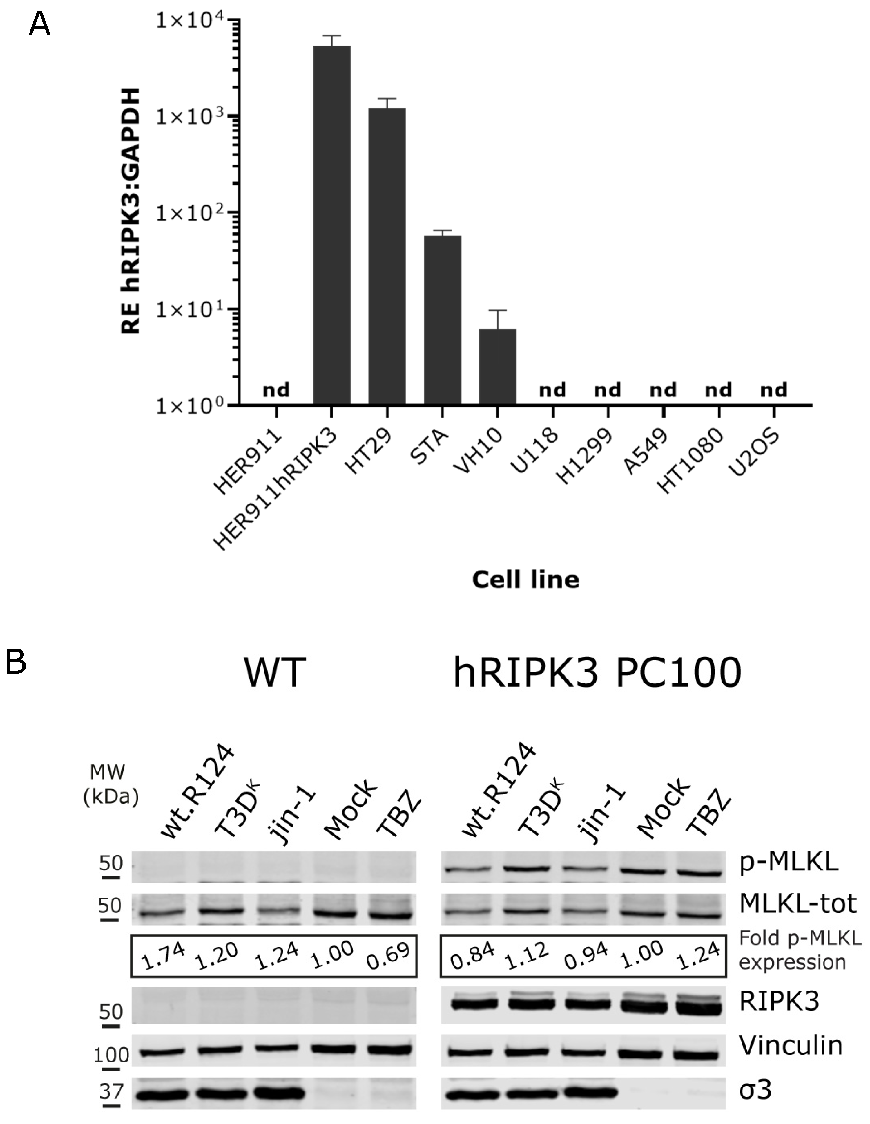 Ijms 24 02320 g004a Ijms 24 02320 g004a