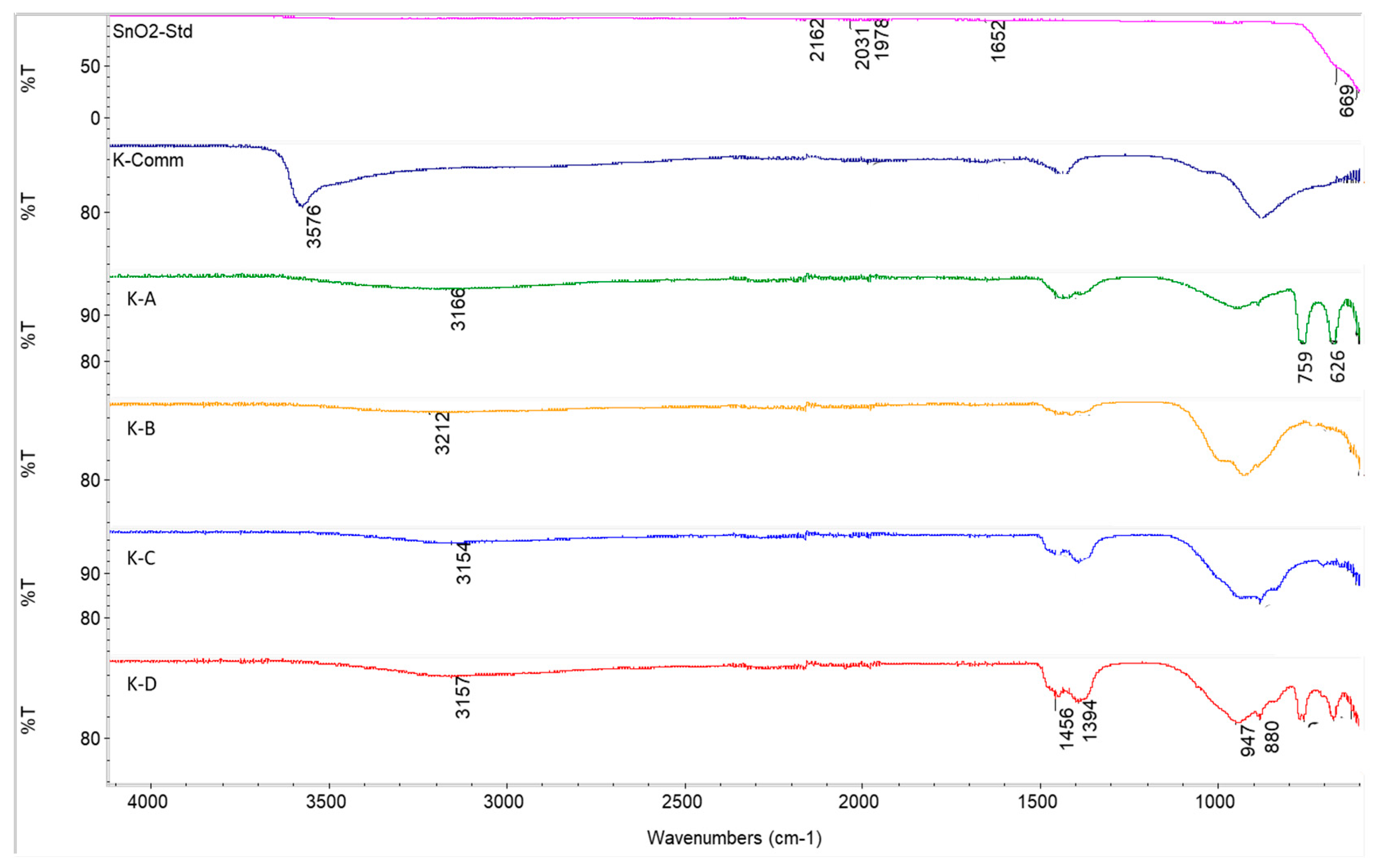 Ijms 24 02321 g007 Ijms 24 02321 g007