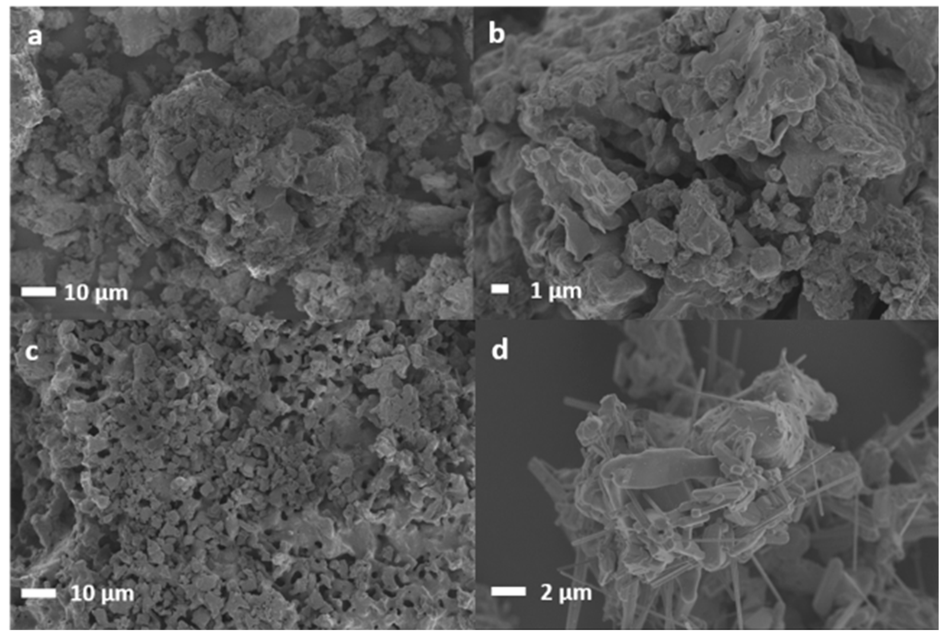 Ijms 24 02321 g009 Ijms 24 02321 g009