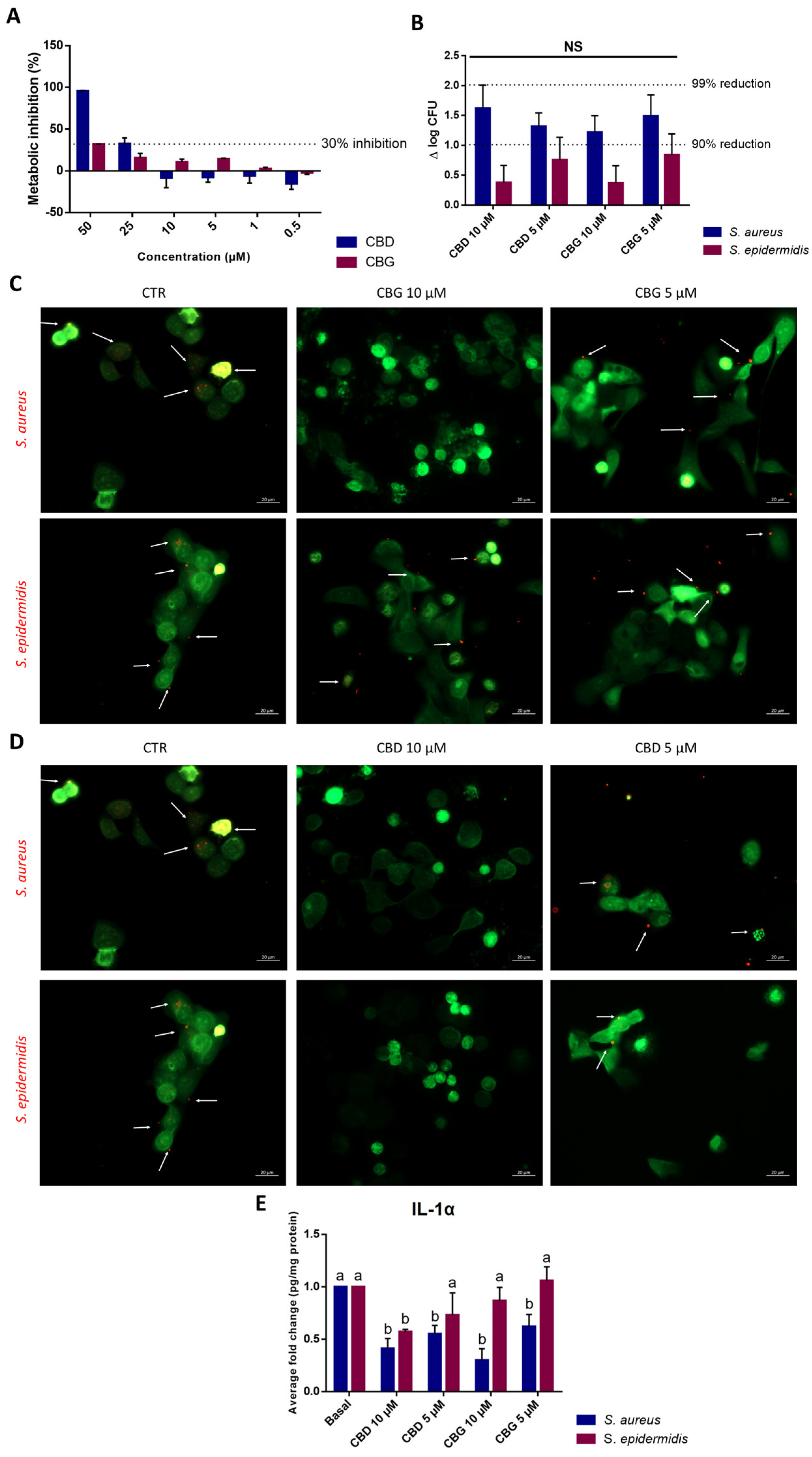 Ijms 24 02389 g004 Ijms 24 02389 g004