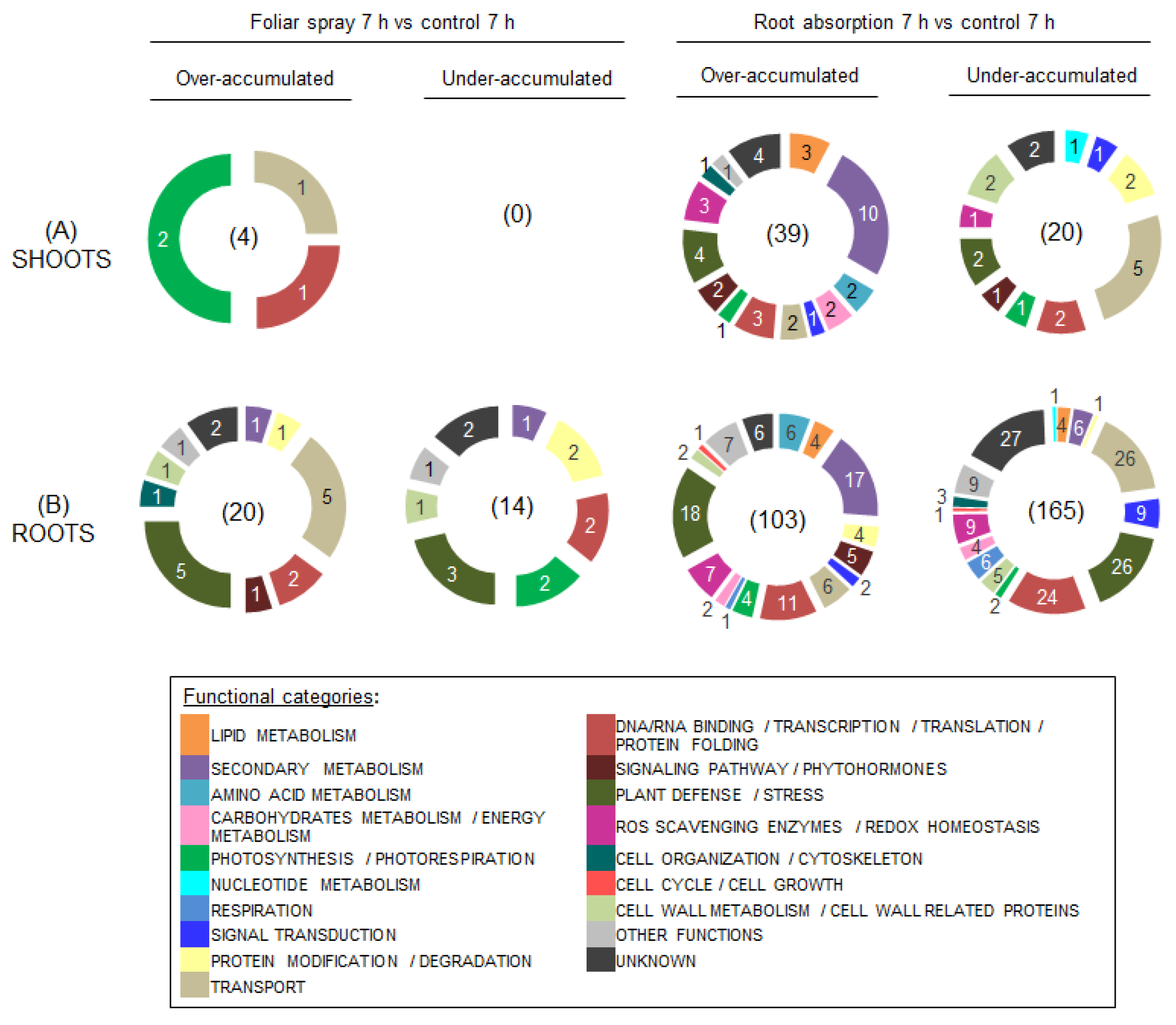 Ijms 24 02390 g003 Ijms 24 02390 g003