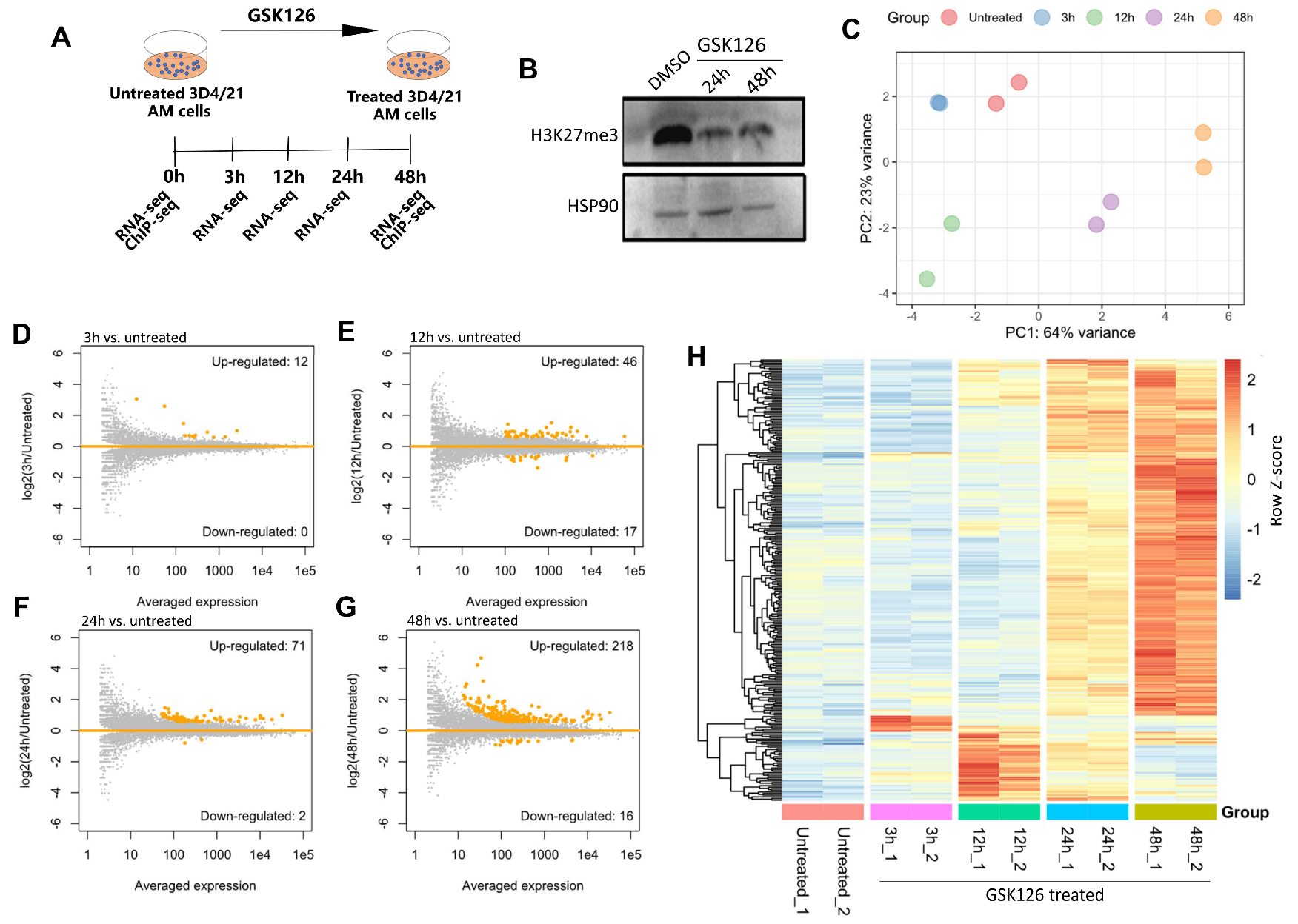 Ijms 24 02394 g001 Ijms 24 02394 g001