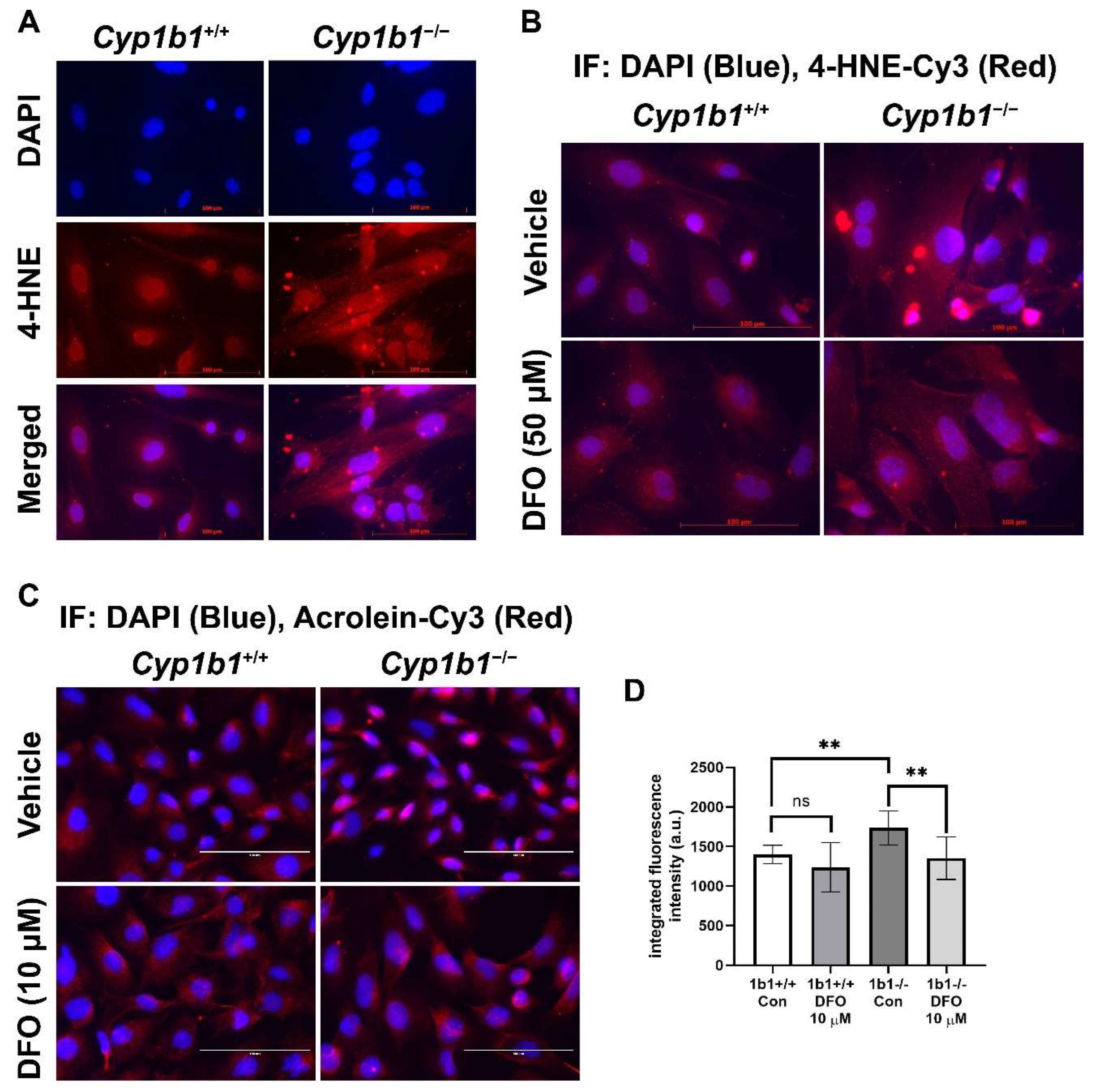 Ijms 24 02420 g006 Ijms 24 02420 g006