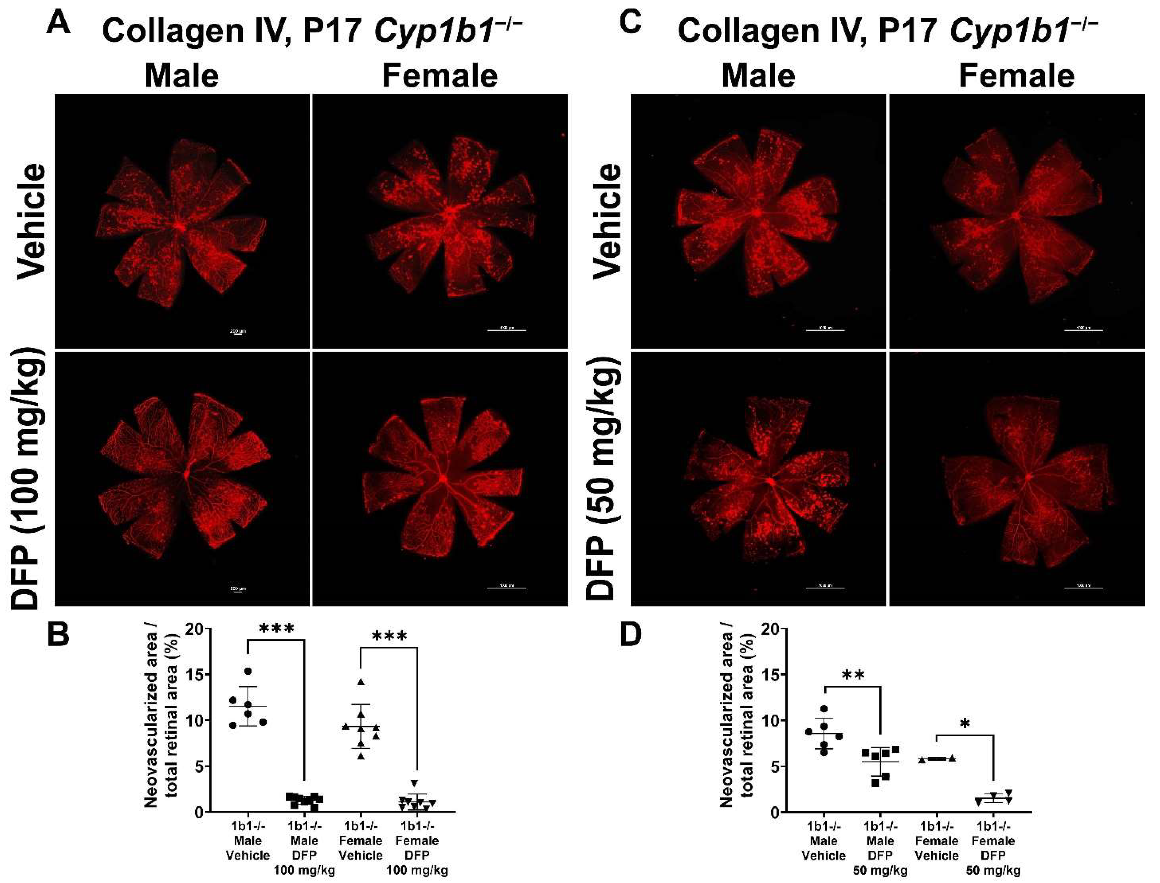Ijms 24 02420 g011 Ijms 24 02420 g011