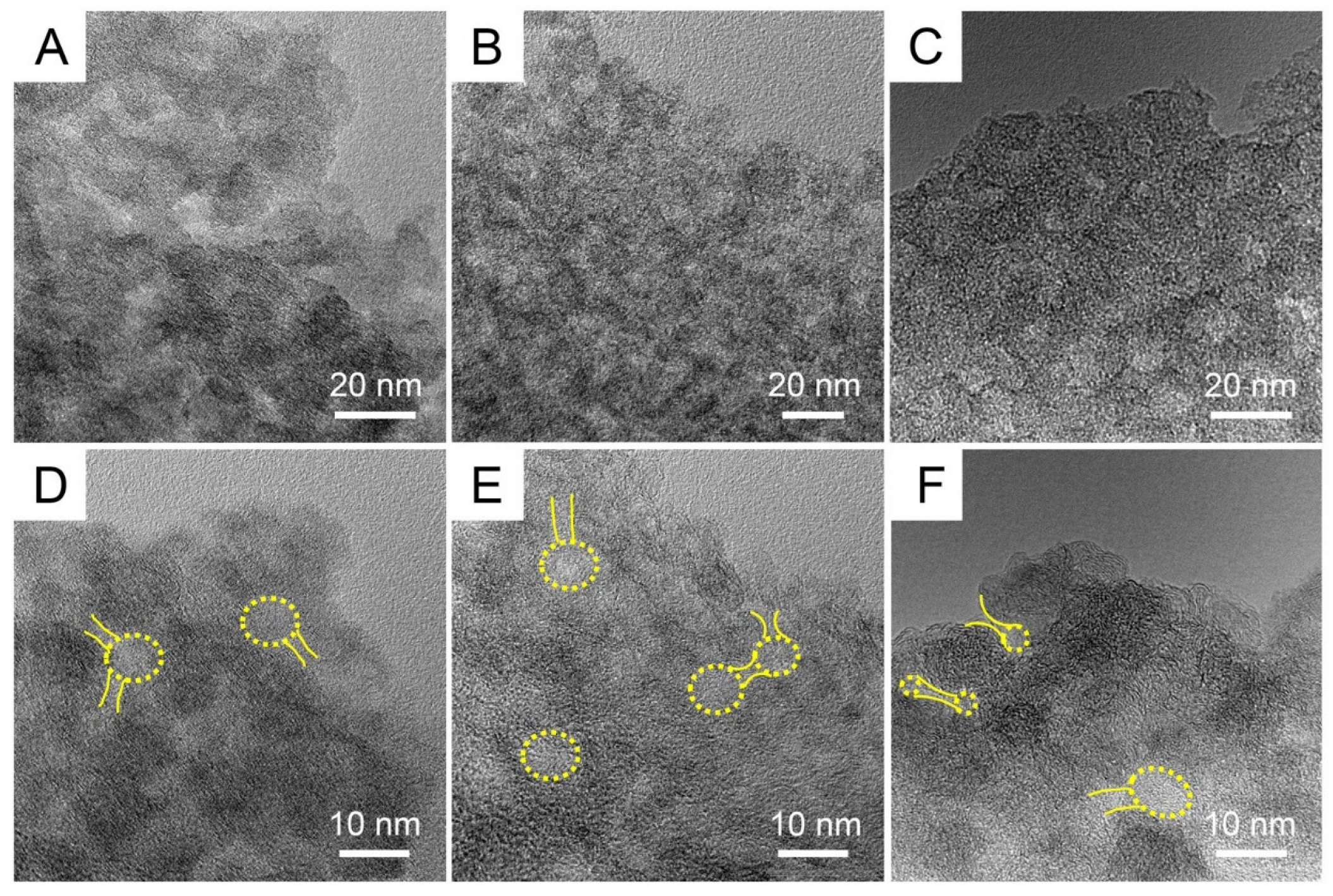 Ijms 24 02432 g004 Ijms 24 02432 g004