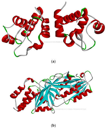 Ijms 24 02446 g007a Ijms 24 02446 g007a