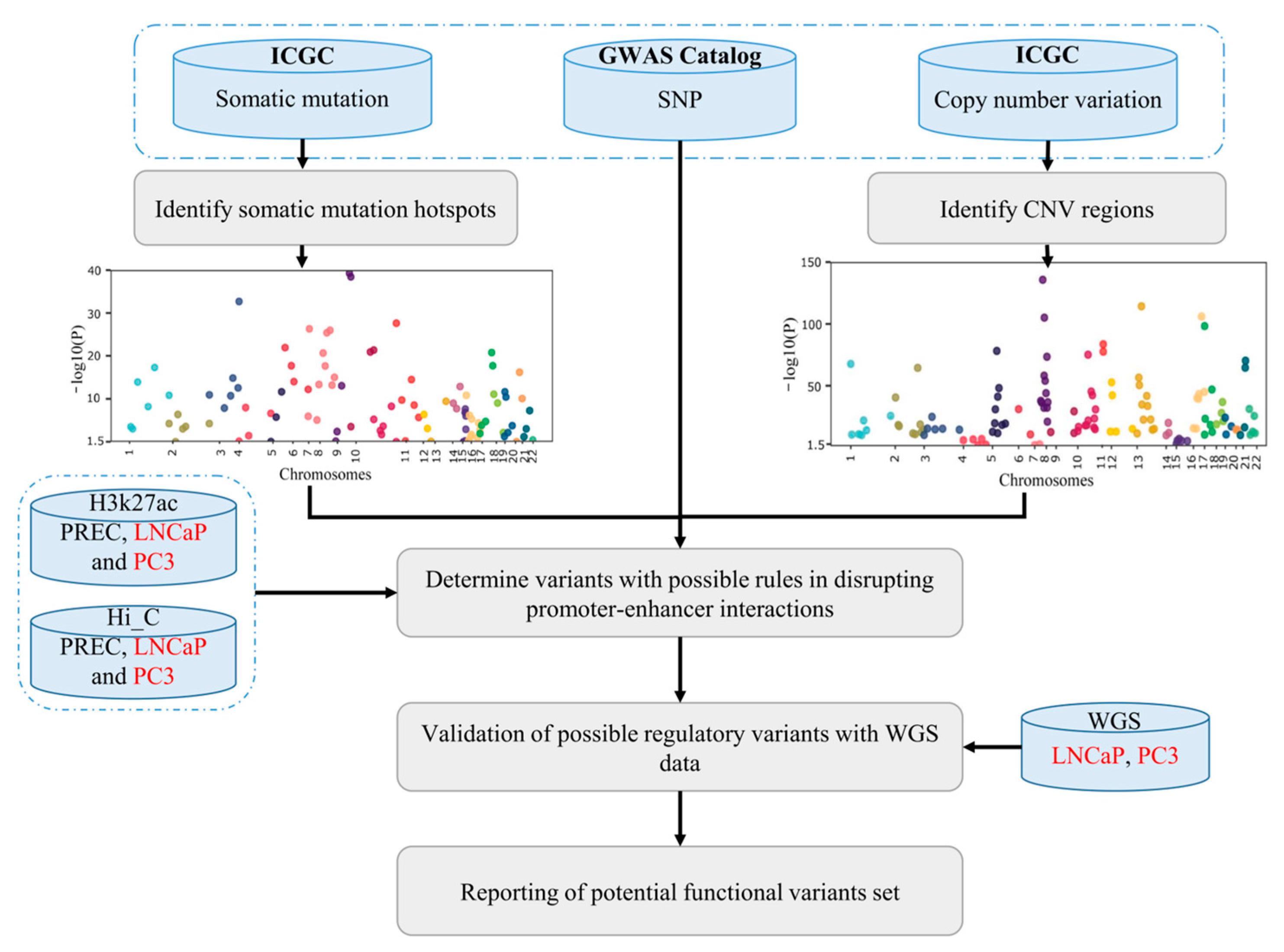 Ijms 24 02472 g001 Ijms 24 02472 g001