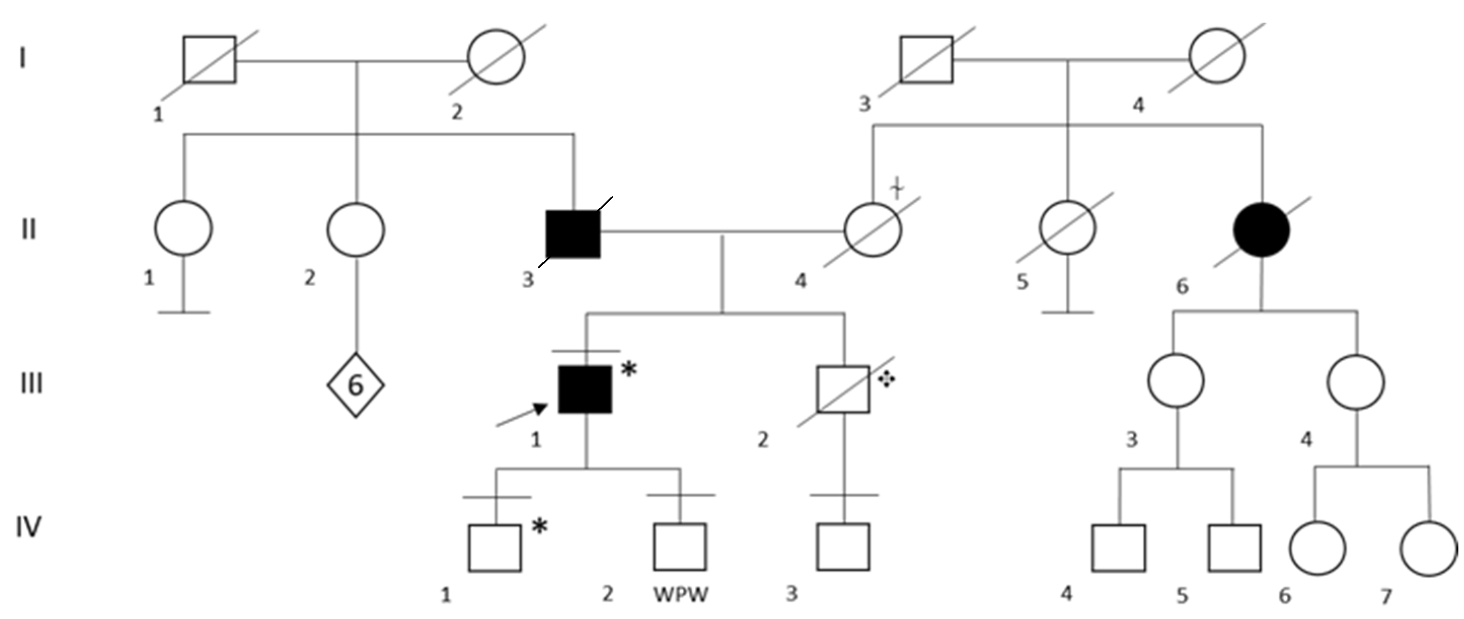 Ijms 24 02490 g001 Ijms 24 02490 g001