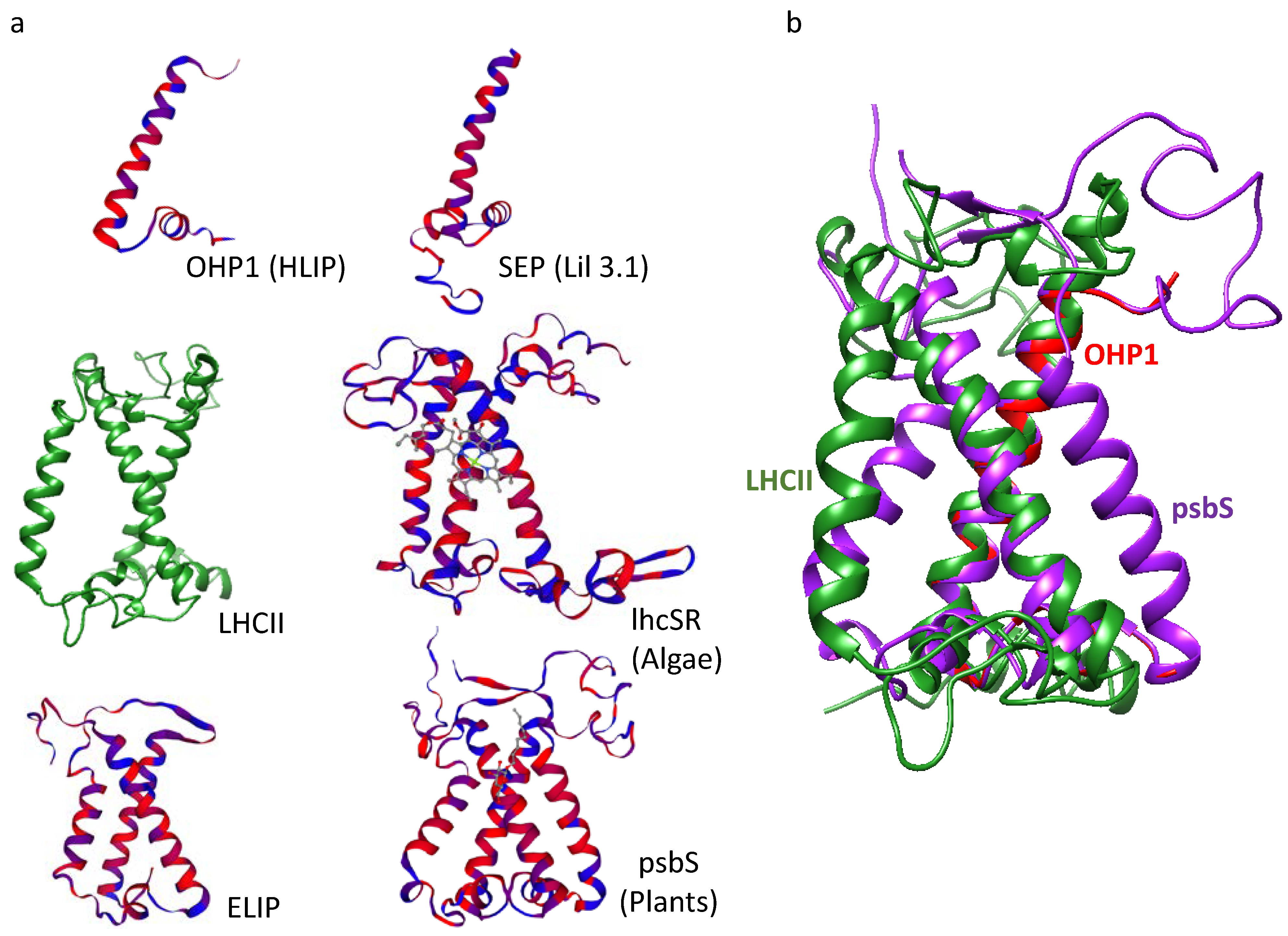 Ijms 24 02503 g003 Ijms 24 02503 g003