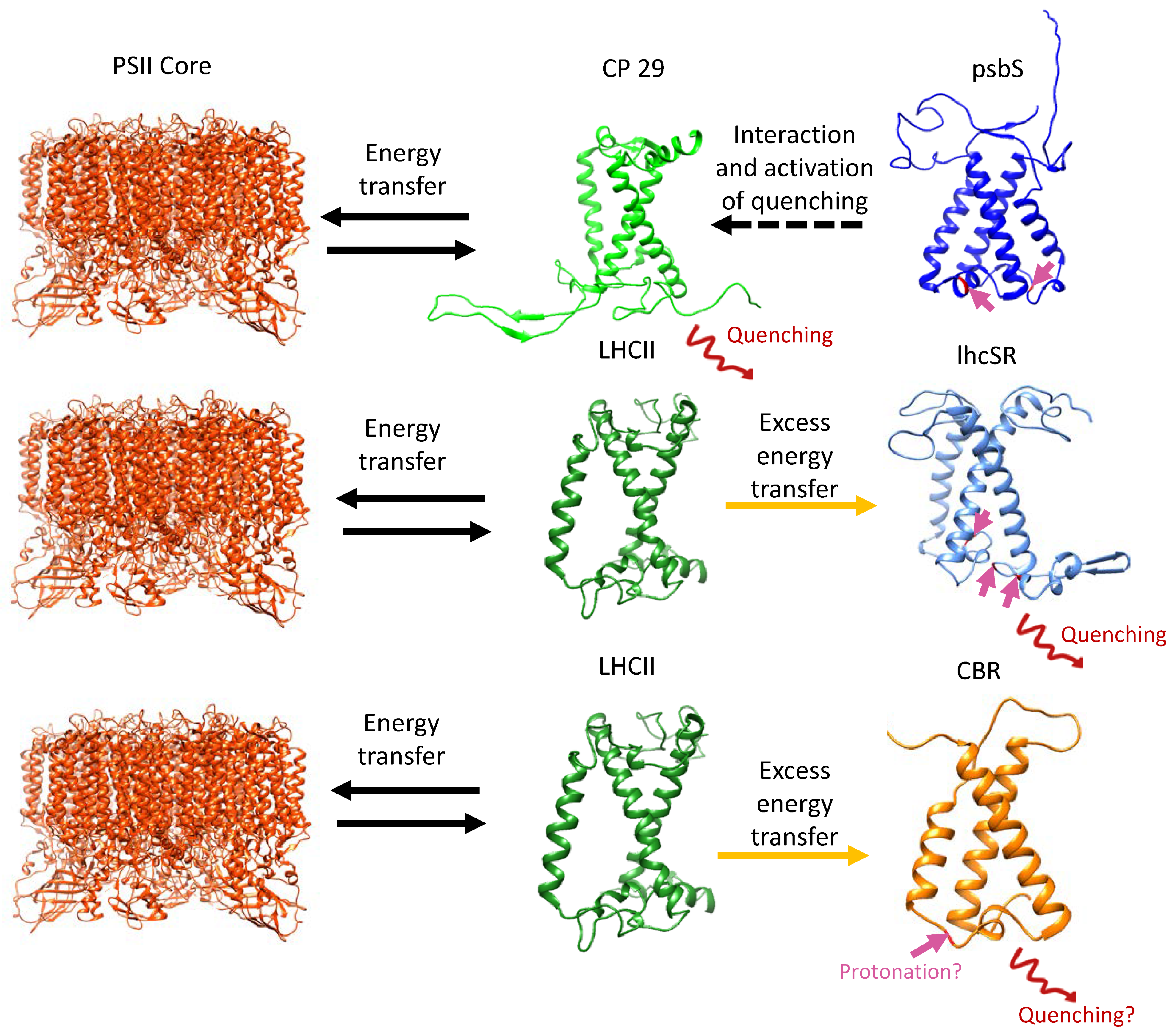 Ijms 24 02503 g005 Ijms 24 02503 g005