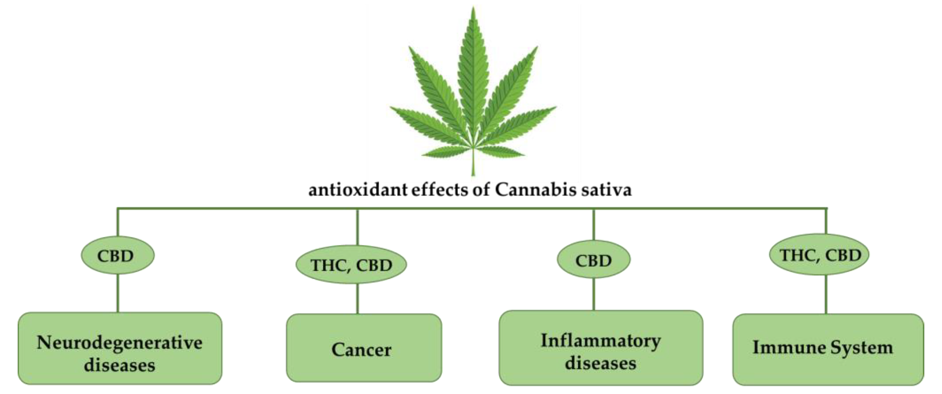 Ijms 24 02513 g001 Ijms 24 02513 g001