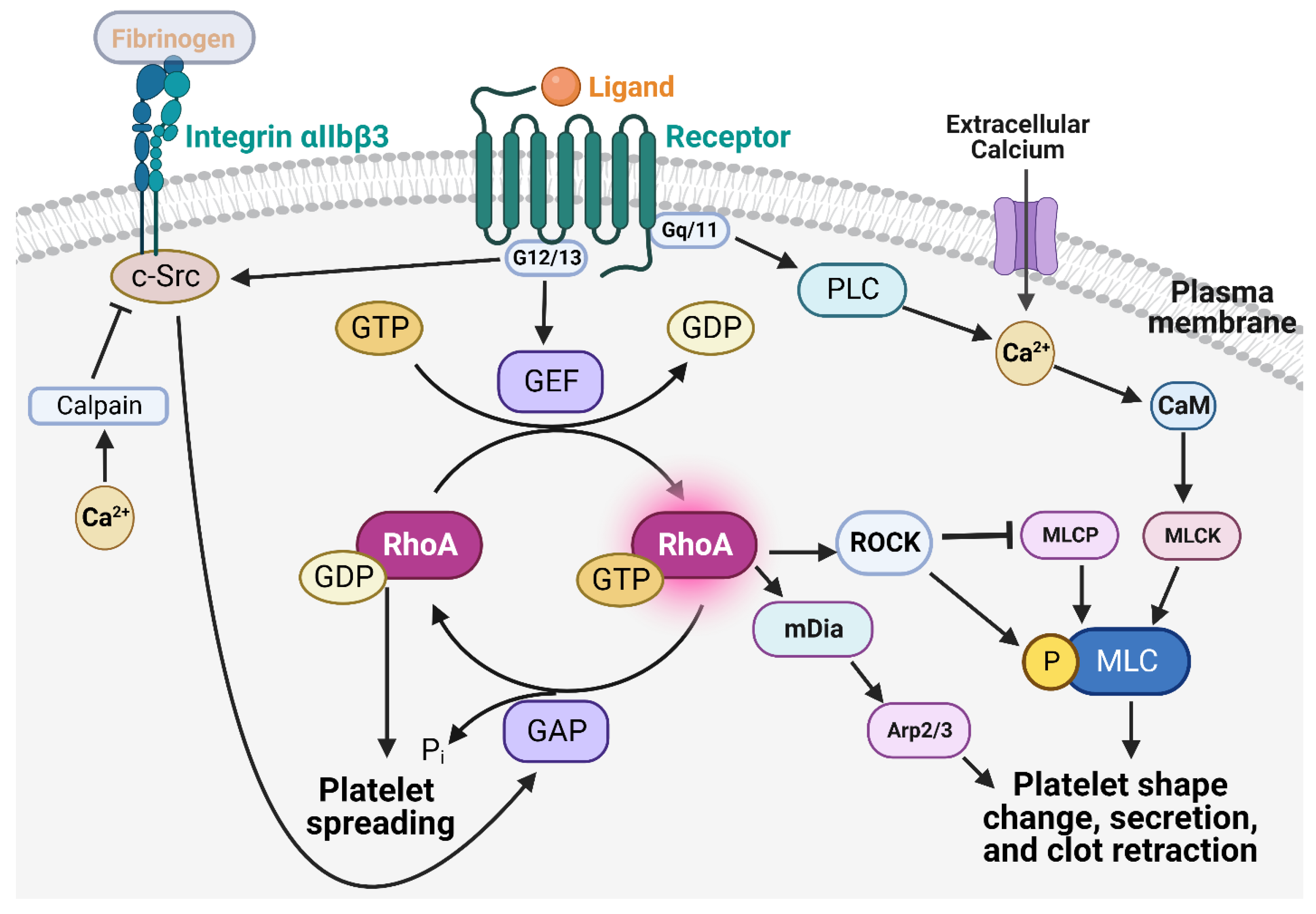 Ijms 24 02519 g002 Ijms 24 02519 g002