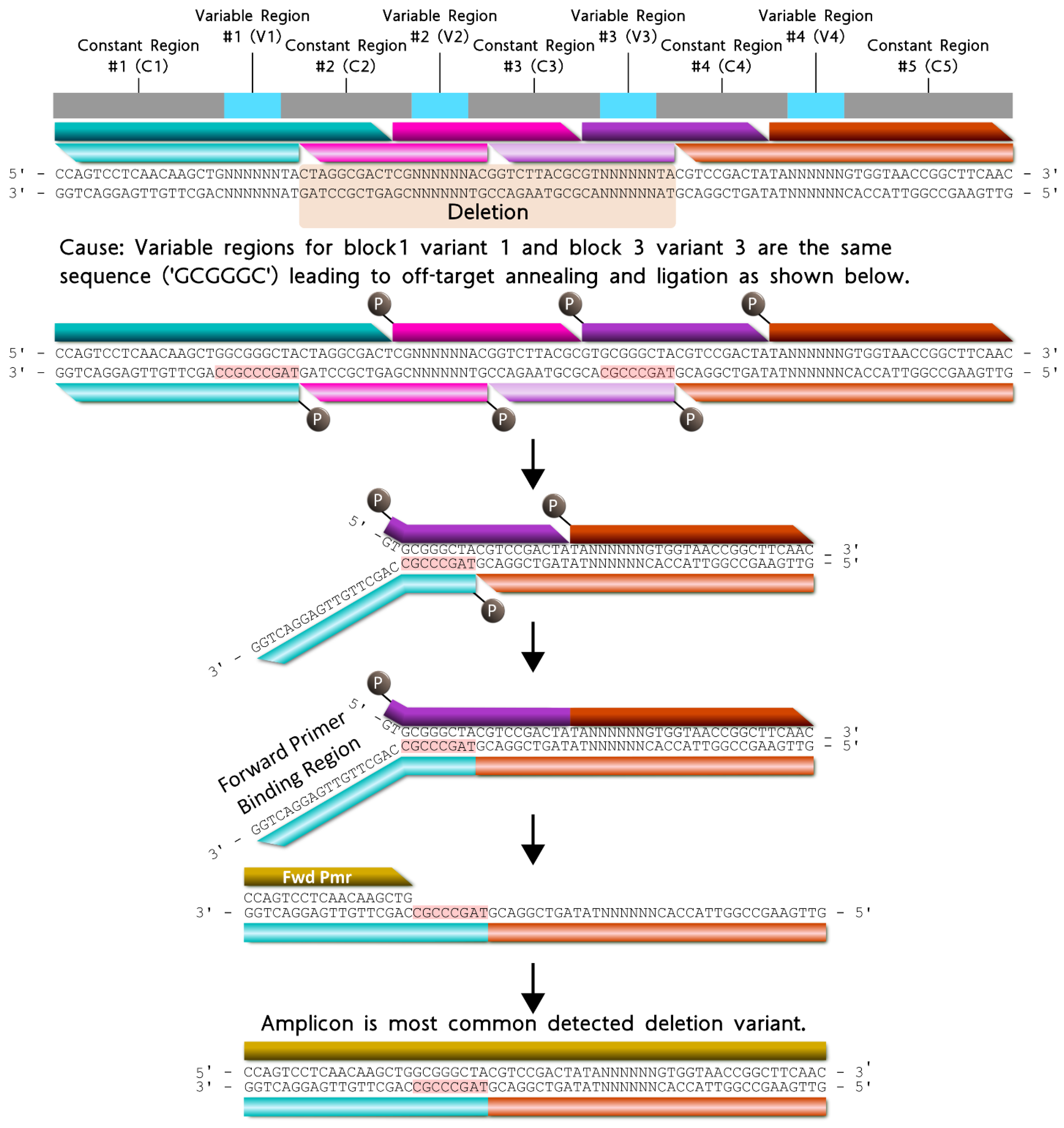 Ijms 24 02549 g005 Ijms 24 02549 g005