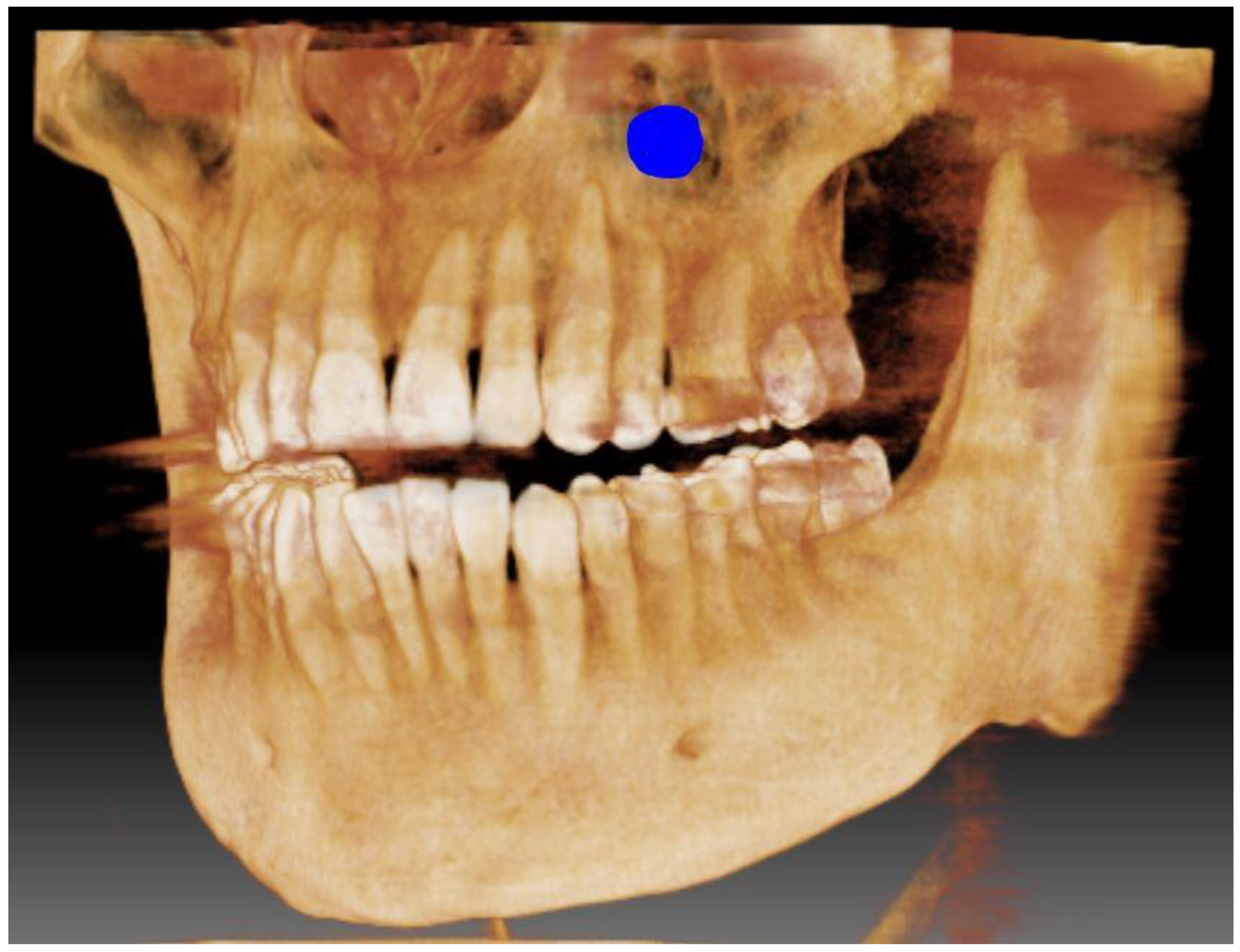 Ijms 24 02552 g001 Ijms 24 02552 g001