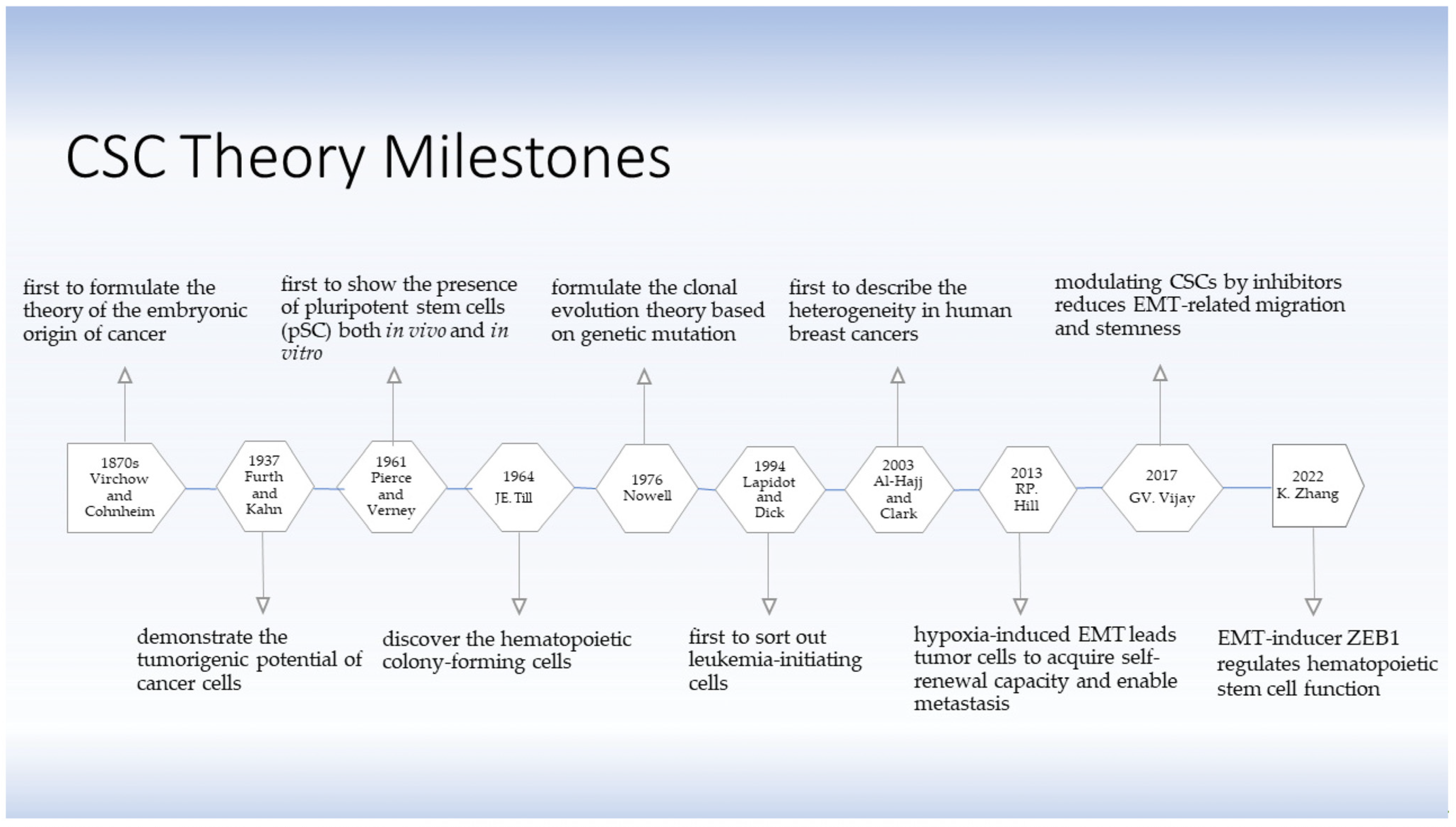 Ijms 24 02555 g001 Ijms 24 02555 g001