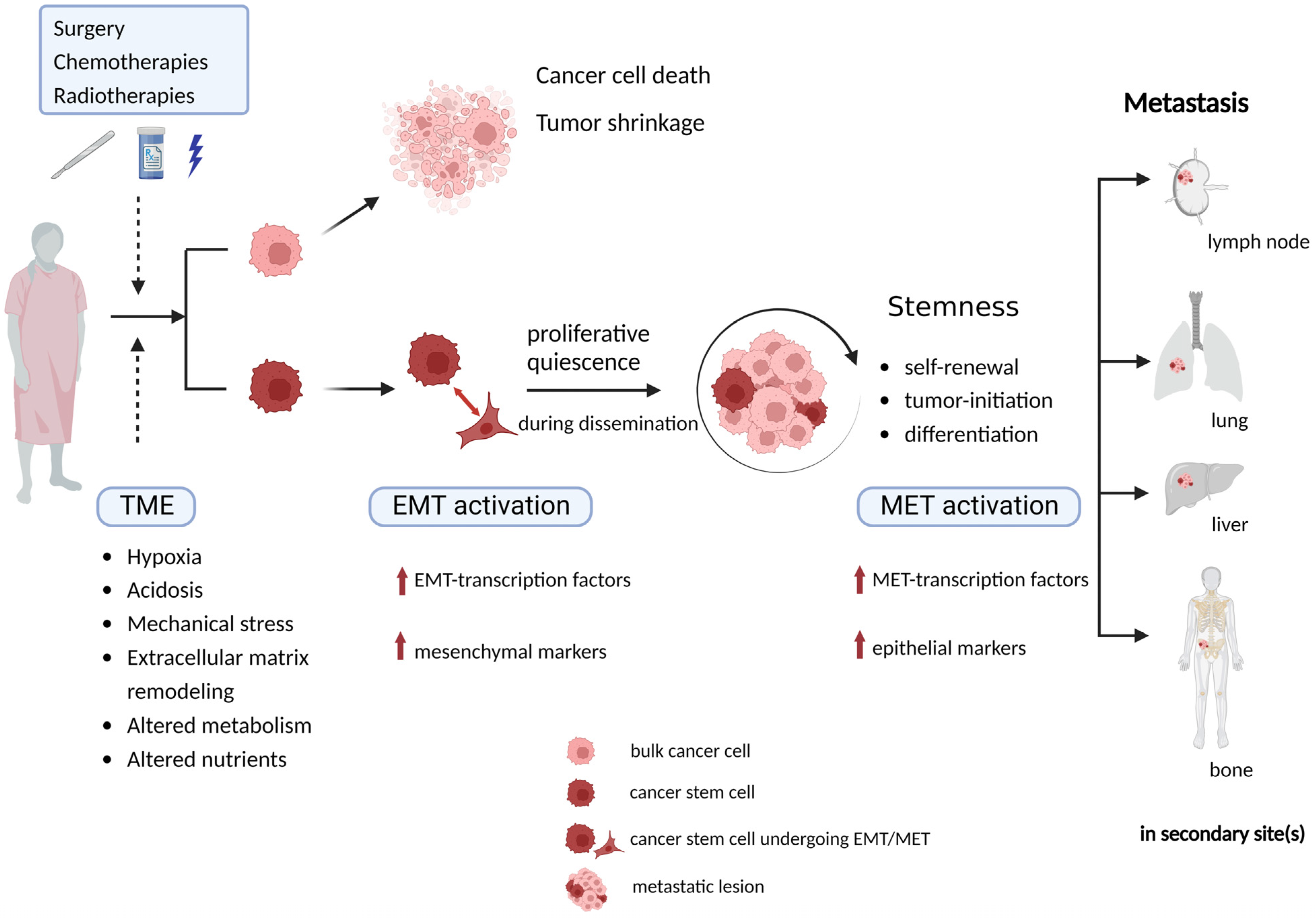 Ijms 24 02555 g002 Ijms 24 02555 g002