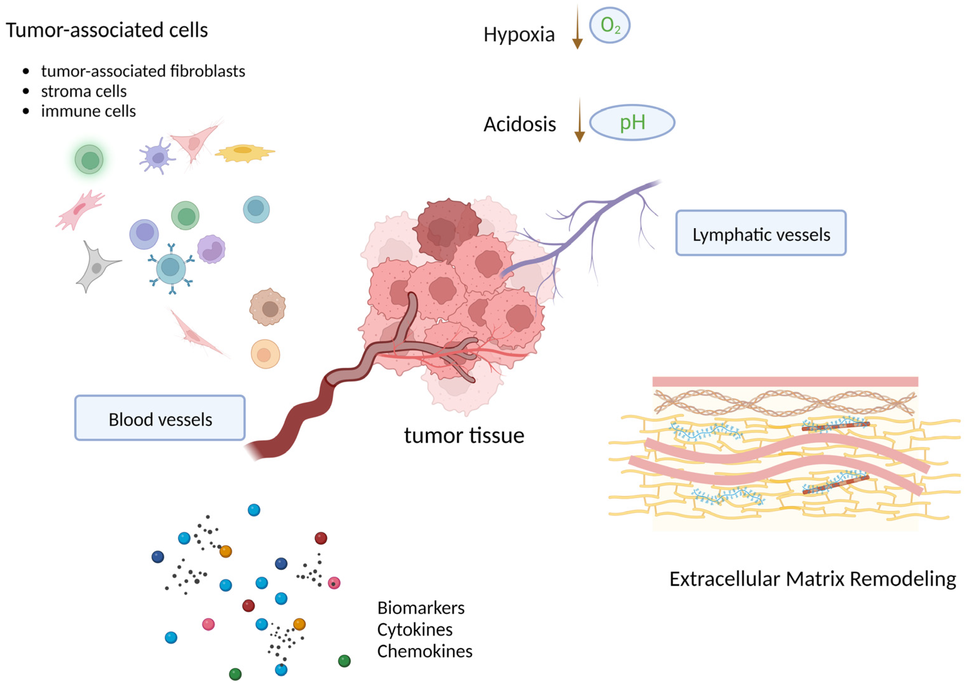 Ijms 24 02555 g003 Ijms 24 02555 g003