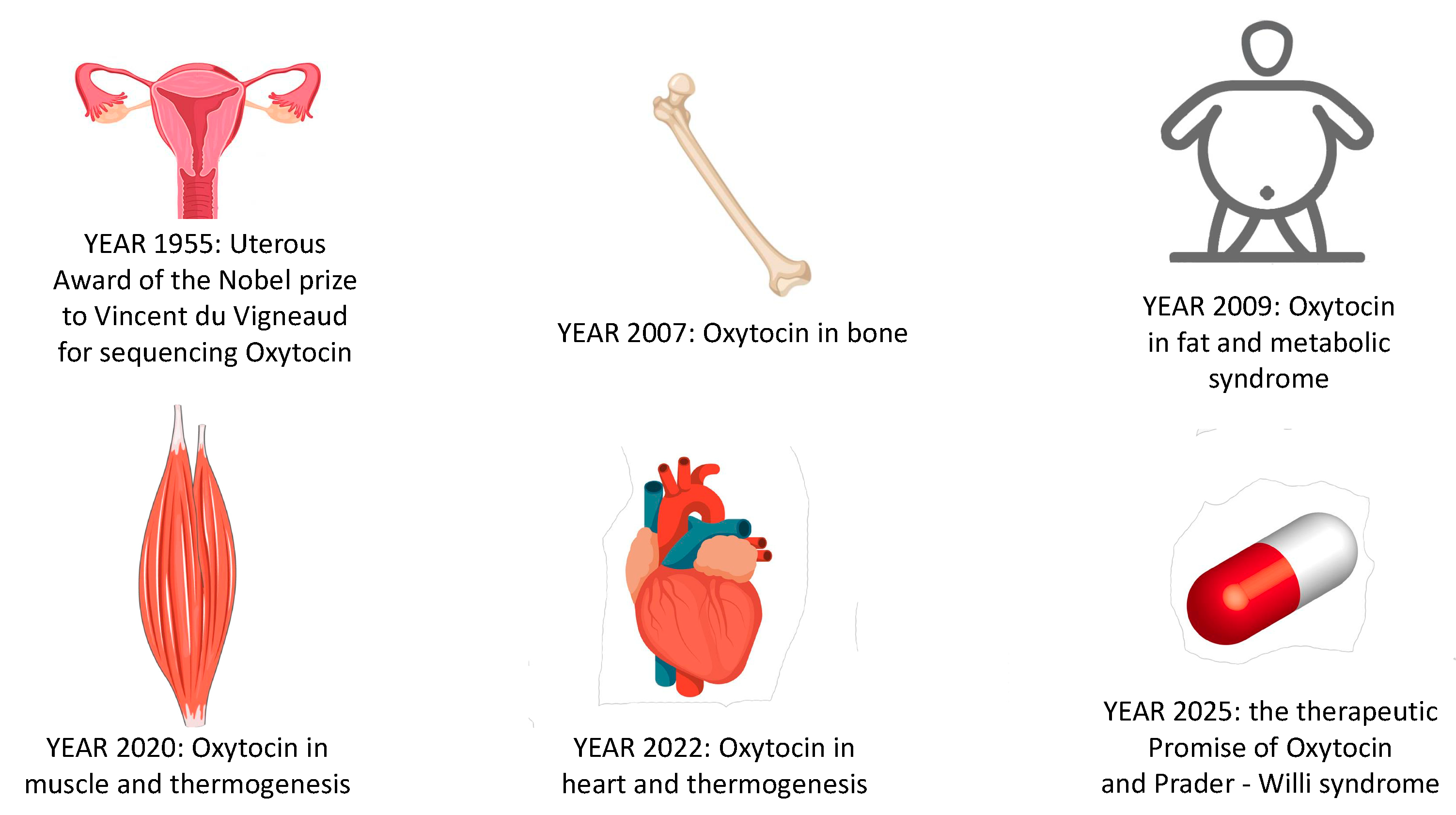 Ijms 24 02556 g002 Ijms 24 02556 g002