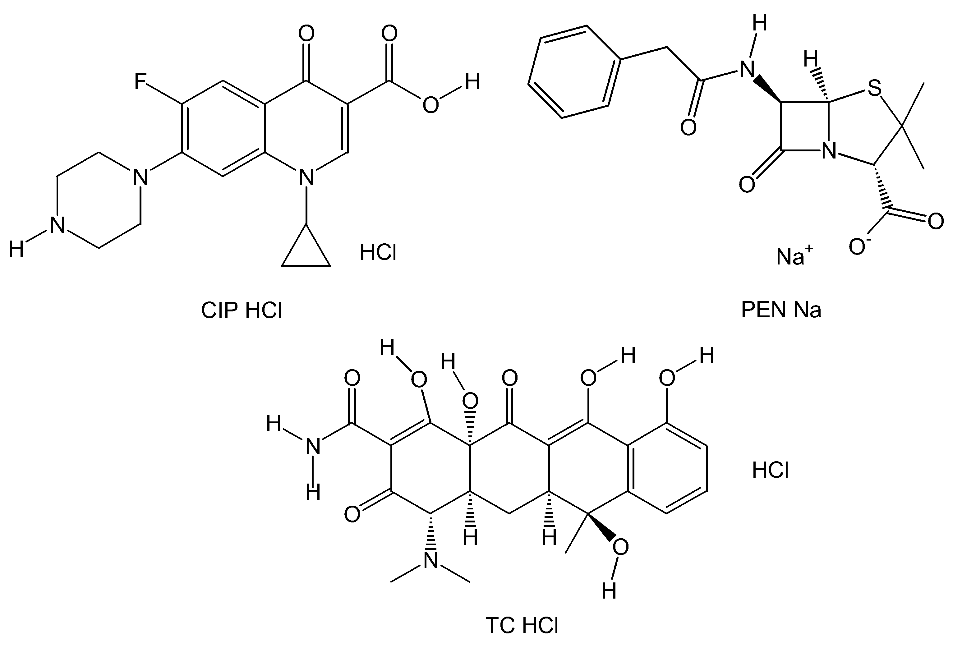 Ijms 24 02563 sch001
