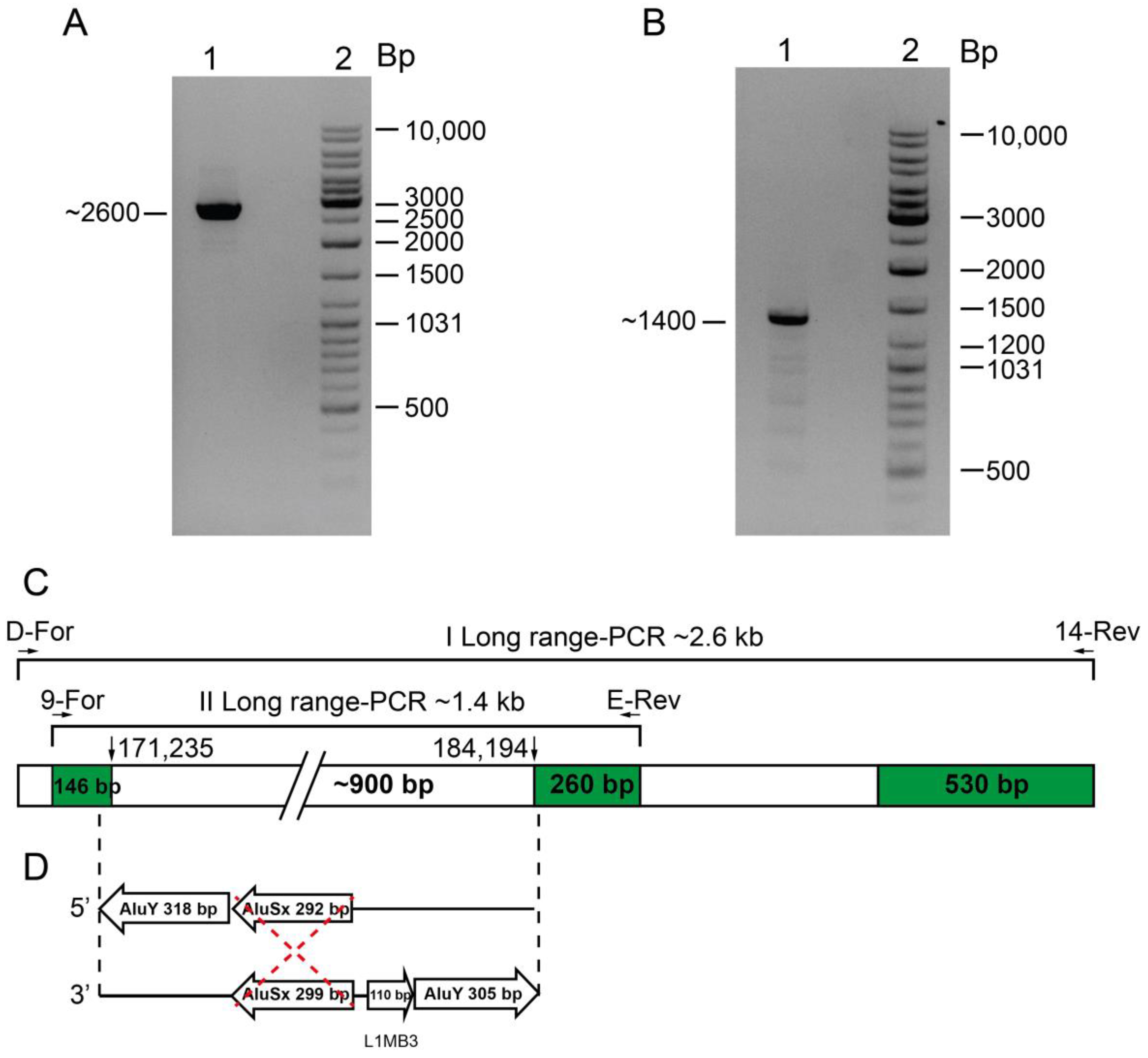 Ijms 24 02577 g003 Ijms 24 02577 g003