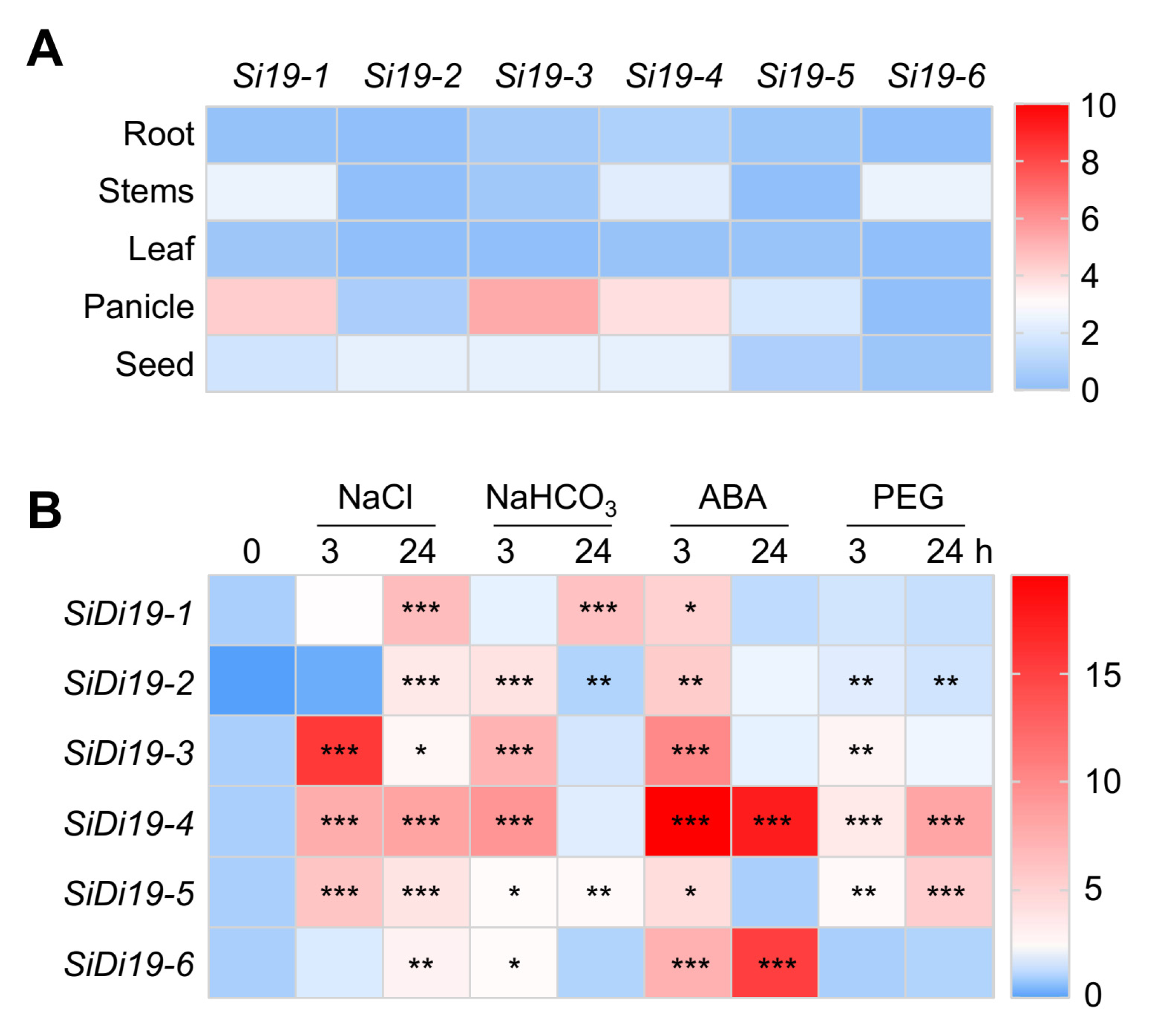 Ijms 24 02592 g007 Ijms 24 02592 g007