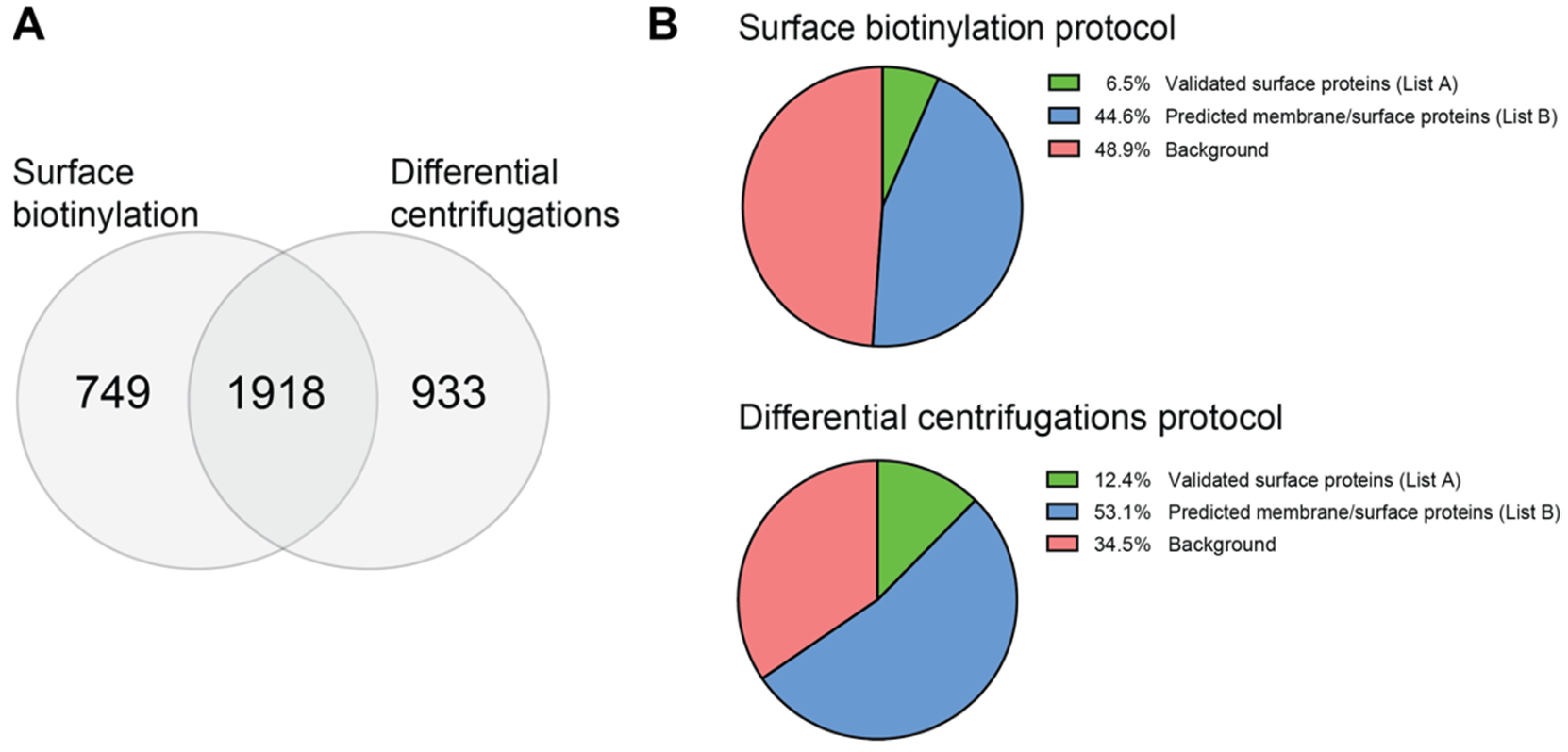 Ijms 24 02601 g001 Ijms 24 02601 g001