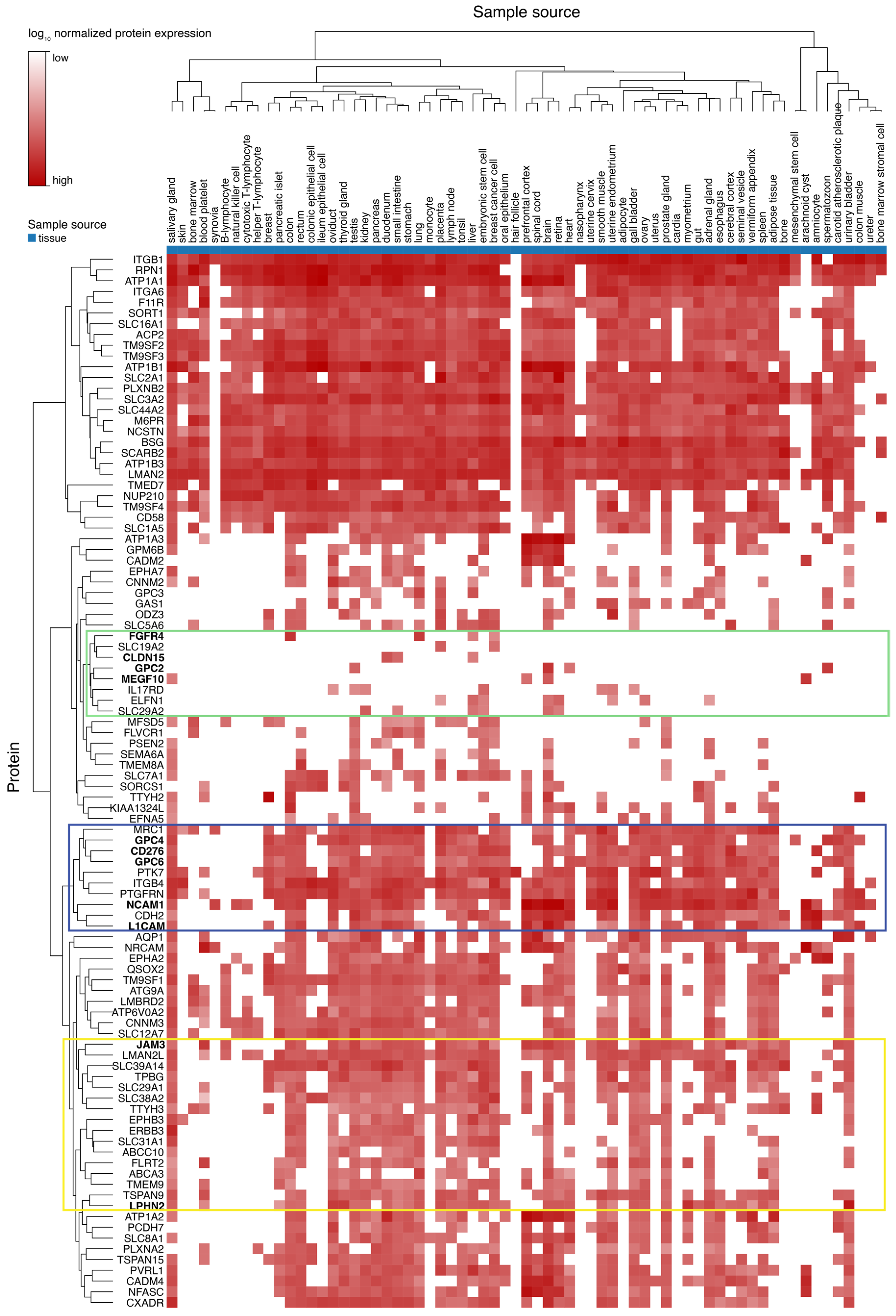 Ijms 24 02601 g005 Ijms 24 02601 g005