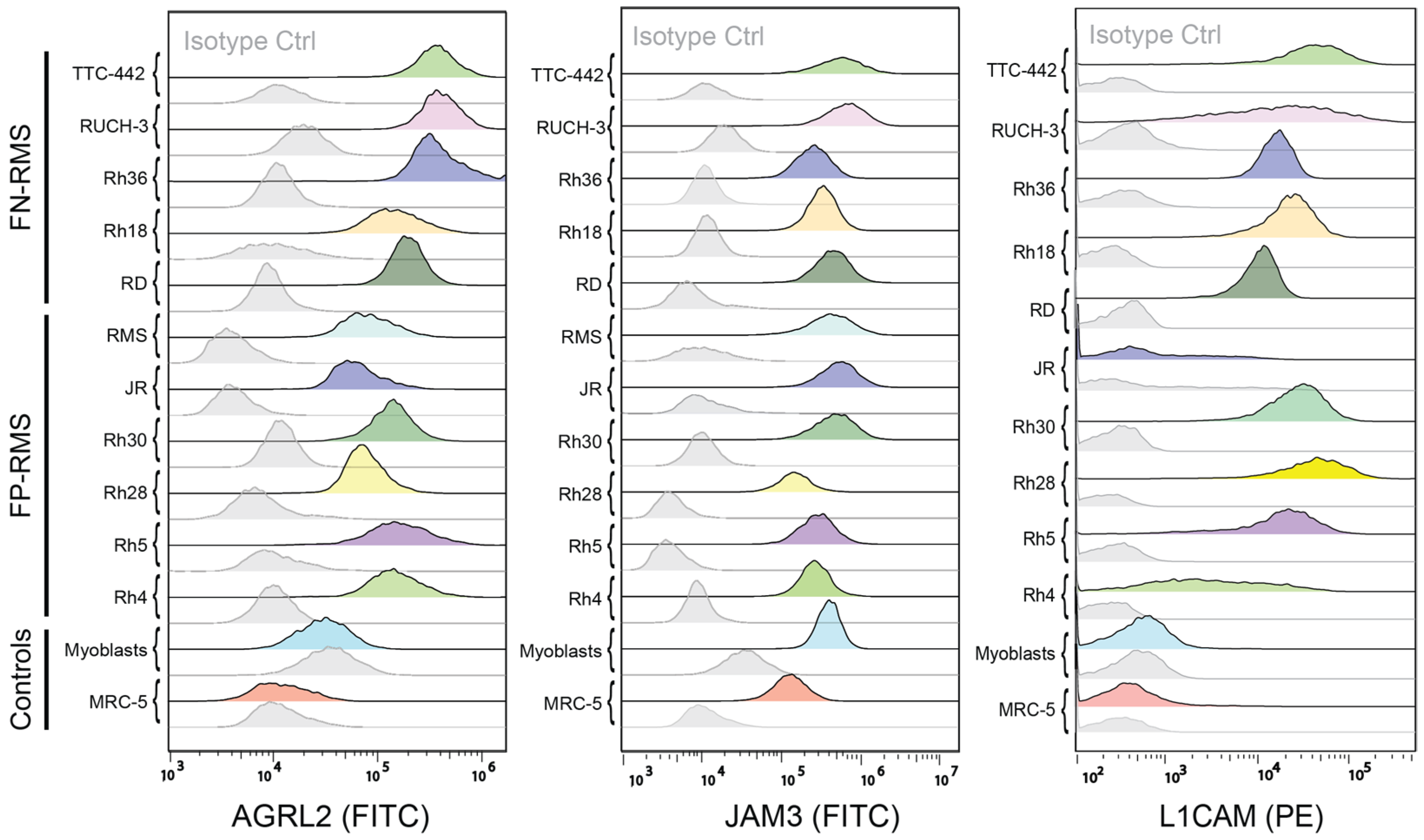 Ijms 24 02601 g008 Ijms 24 02601 g008