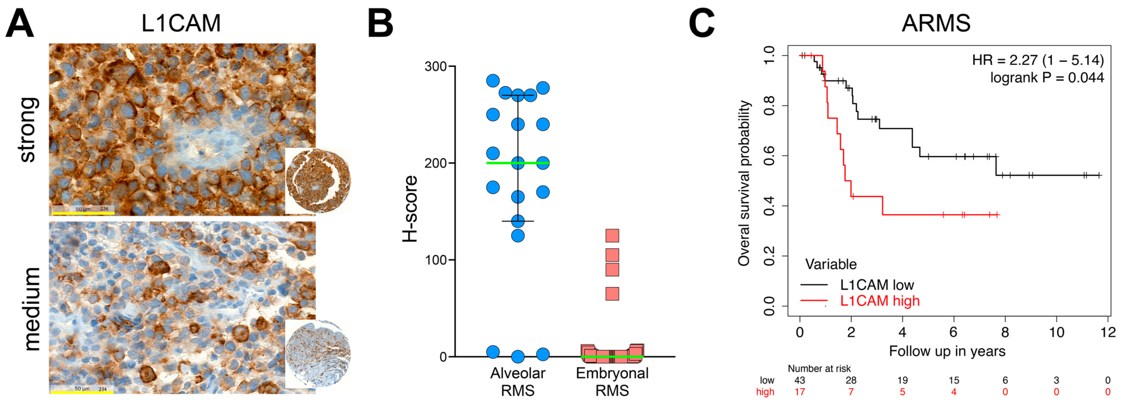 Ijms 24 02601 g009 Ijms 24 02601 g009