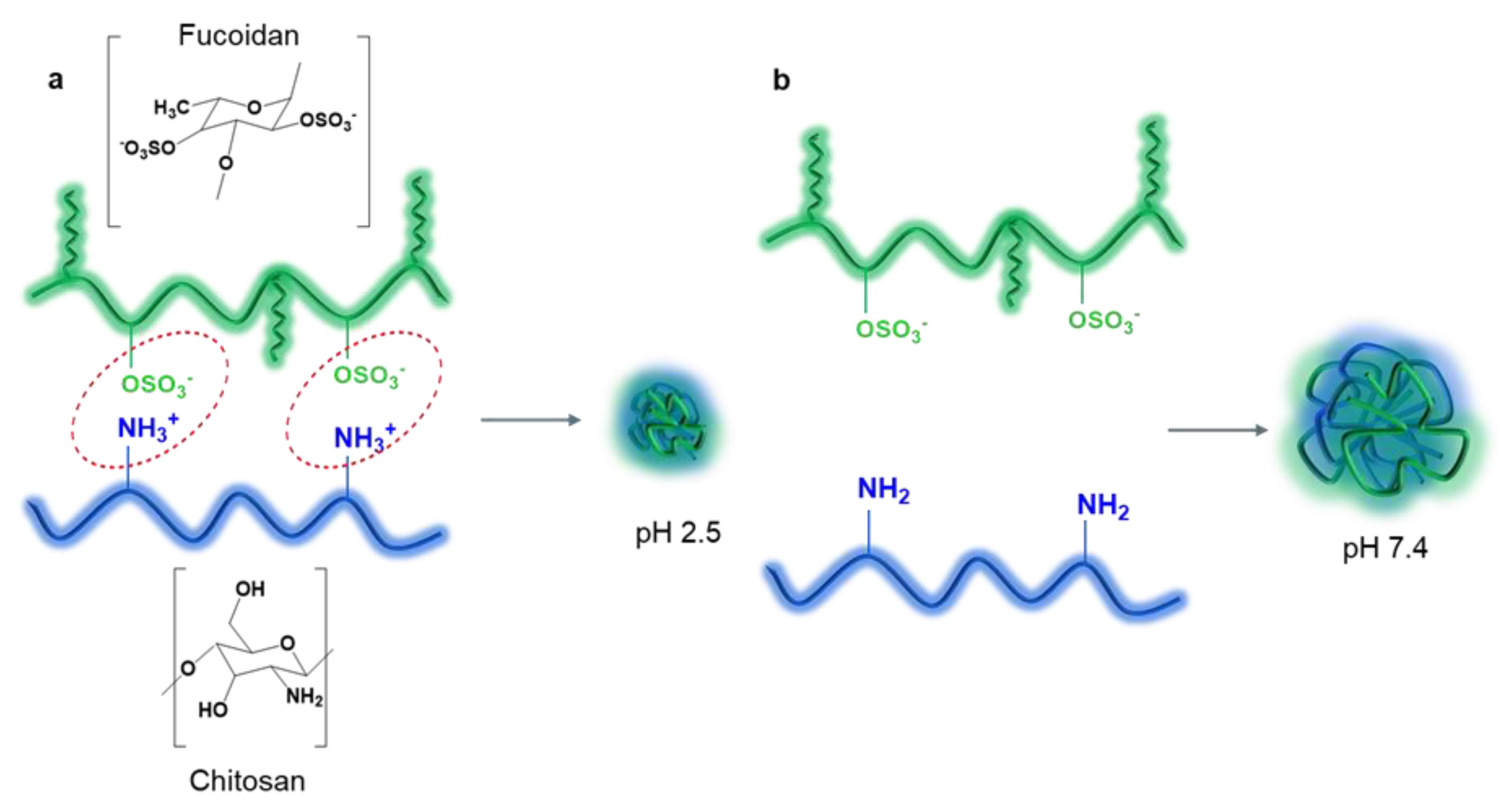 Ijms 24 02615 g002 Ijms 24 02615 g002